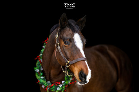 Horse wearing a wreath. Terese Cole
