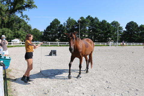 Corral Riding Academy Absorbine