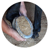 Treat Your Horse's Sore Hooves With Magic Cushion