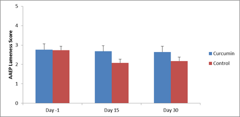 LSU Curcumin Horse Study by Bute-Less Performance Supplement