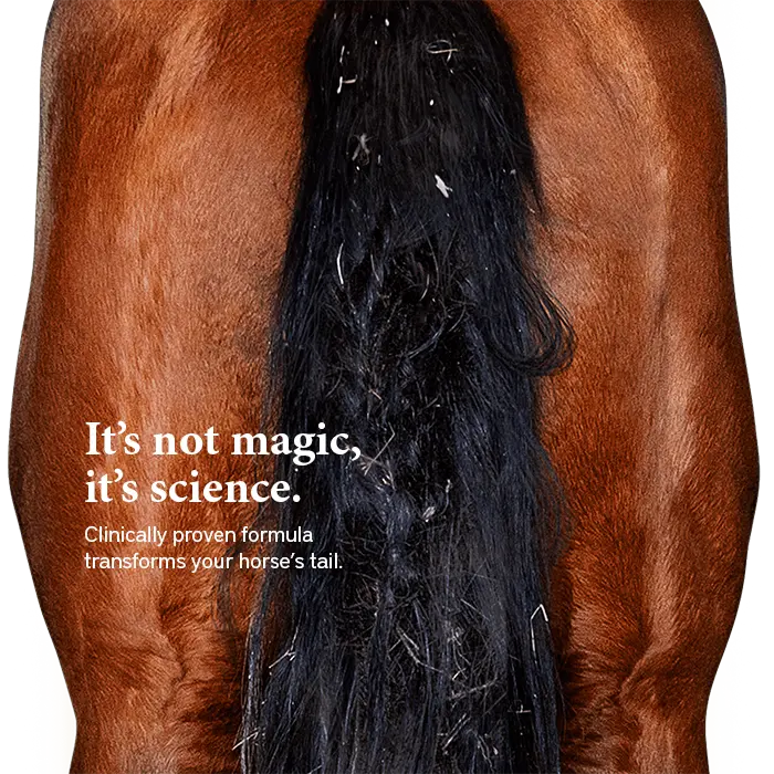 Horse tail dirty