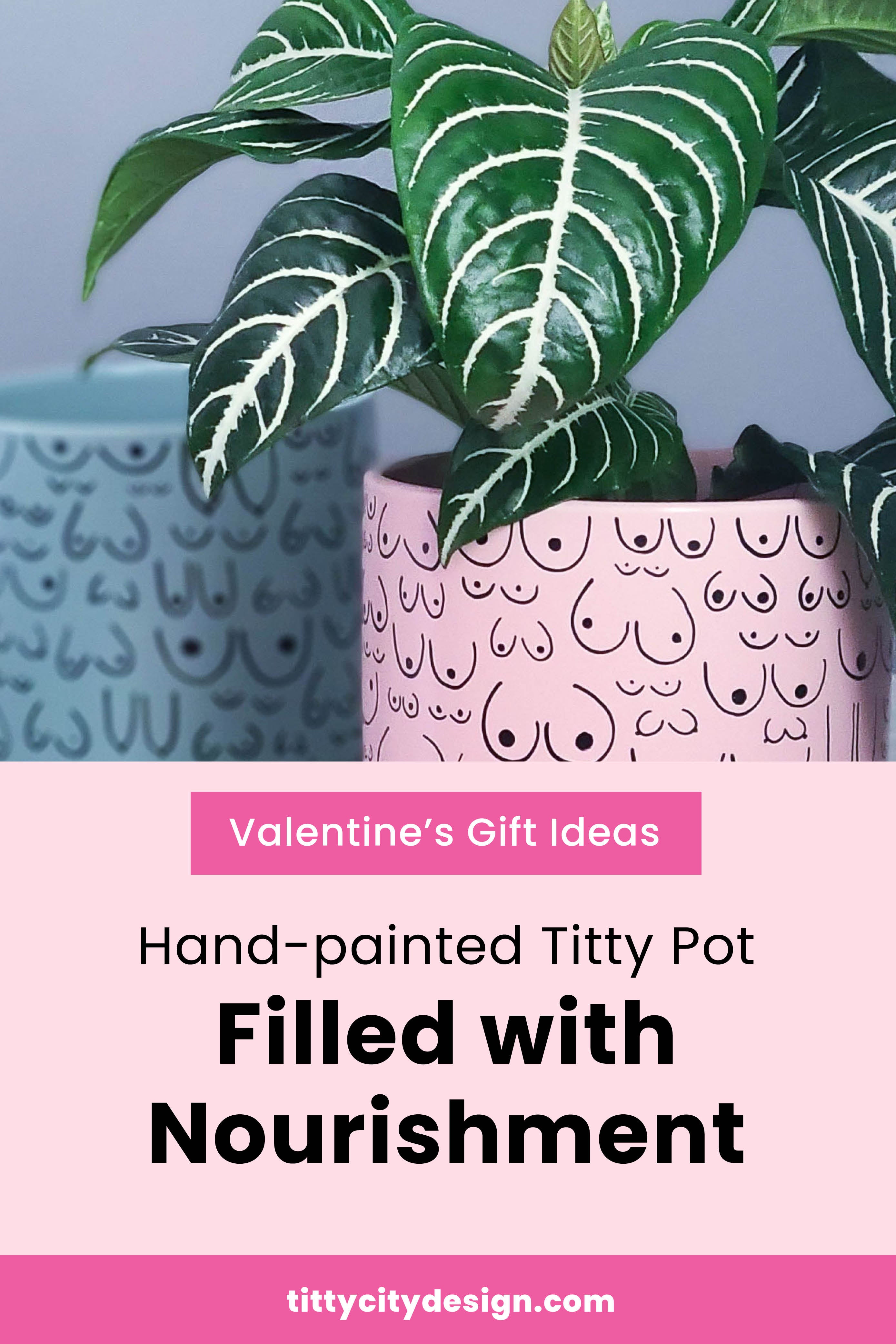 Valentines Gift Idea - Pink Hand Painted Boob Planter "Filled with Nourishment"