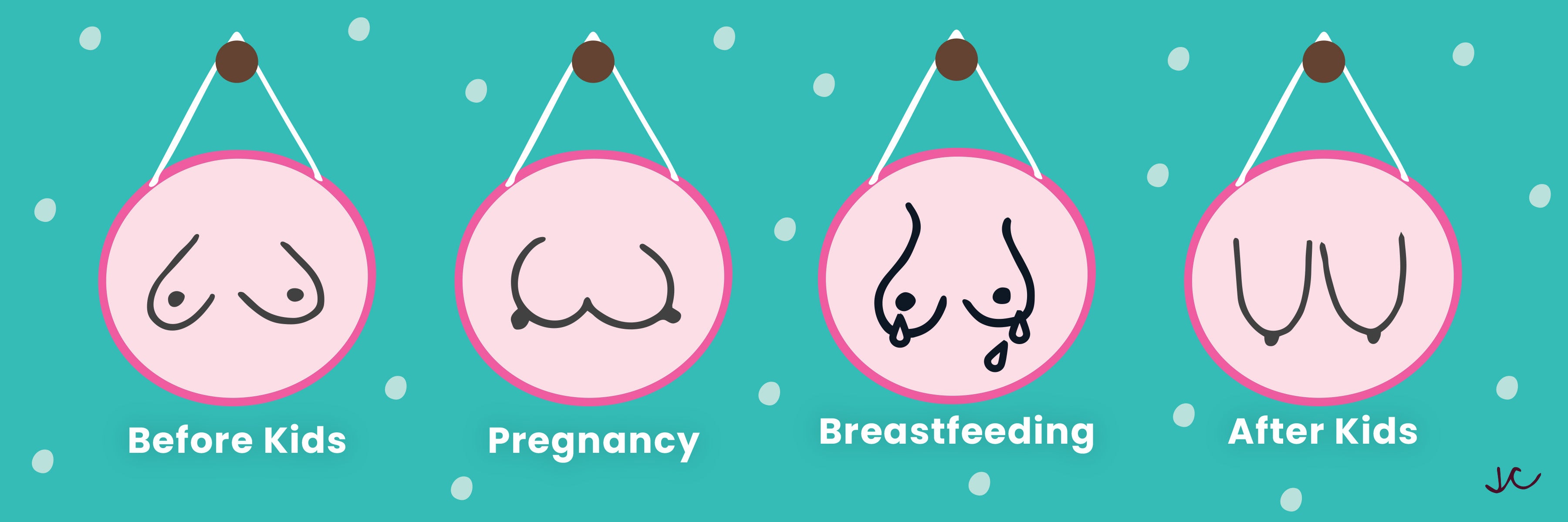 Our Guide to Breasts Before and After Breastfeeding: Before Kids, Pregnancy, Breastfeeding, After kids