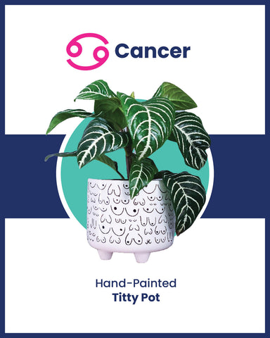 Zodiac Holiday Gift for Cancer Boob Planter Pot
