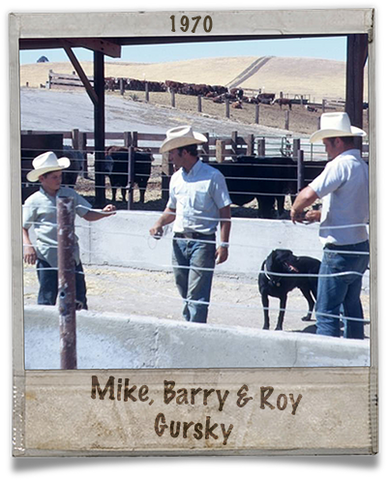 Mike, Barry, and Roy Gursky