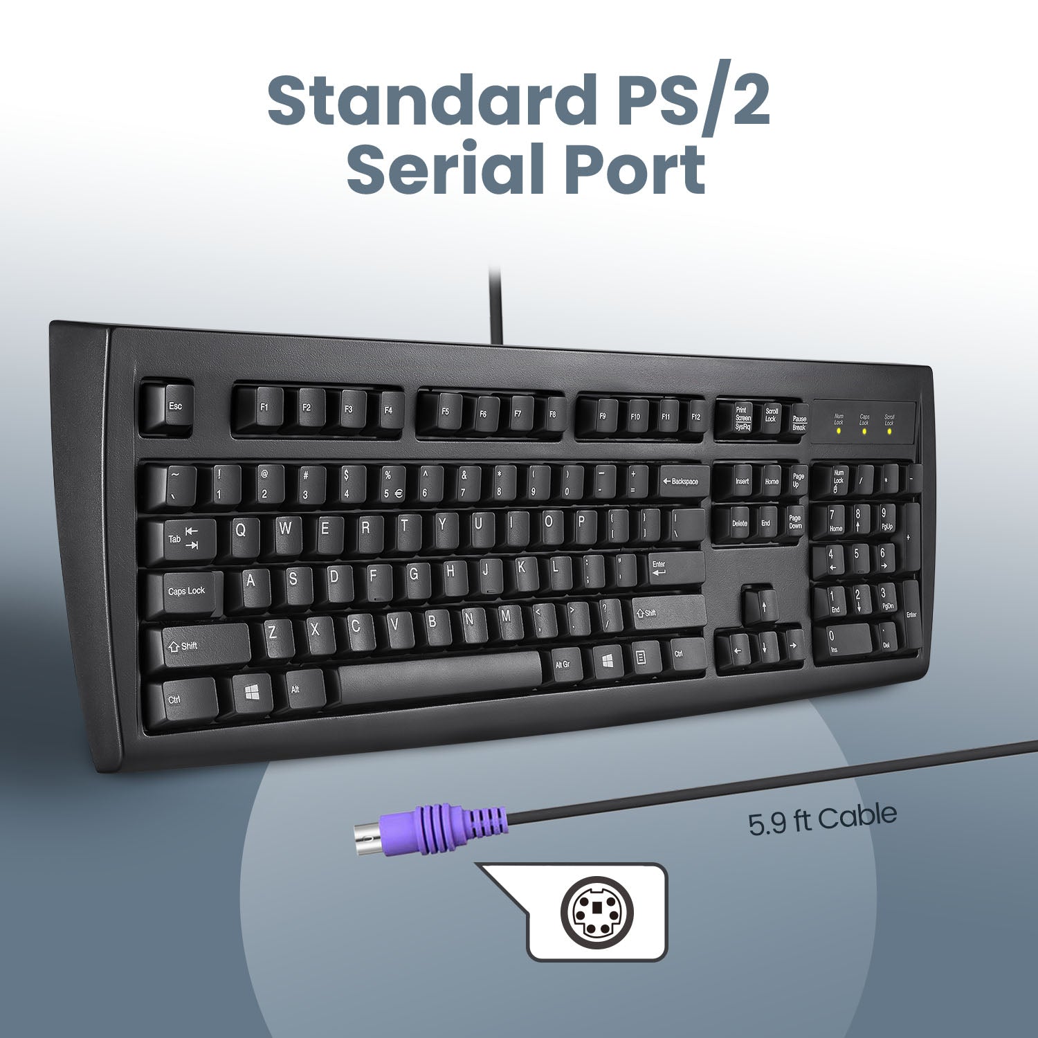 Your classic PS/2 keyboard