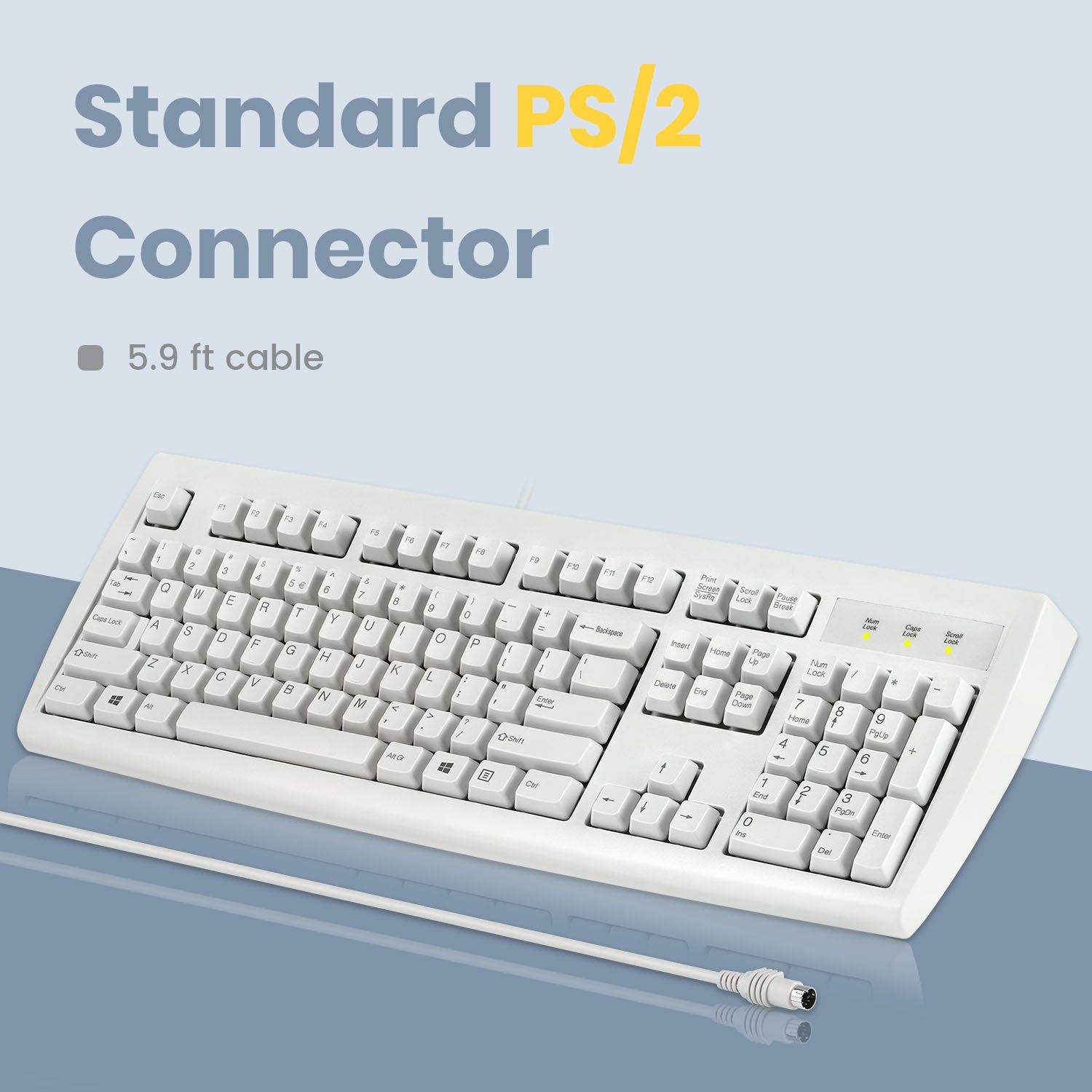 Your classic PS/2 keyboard