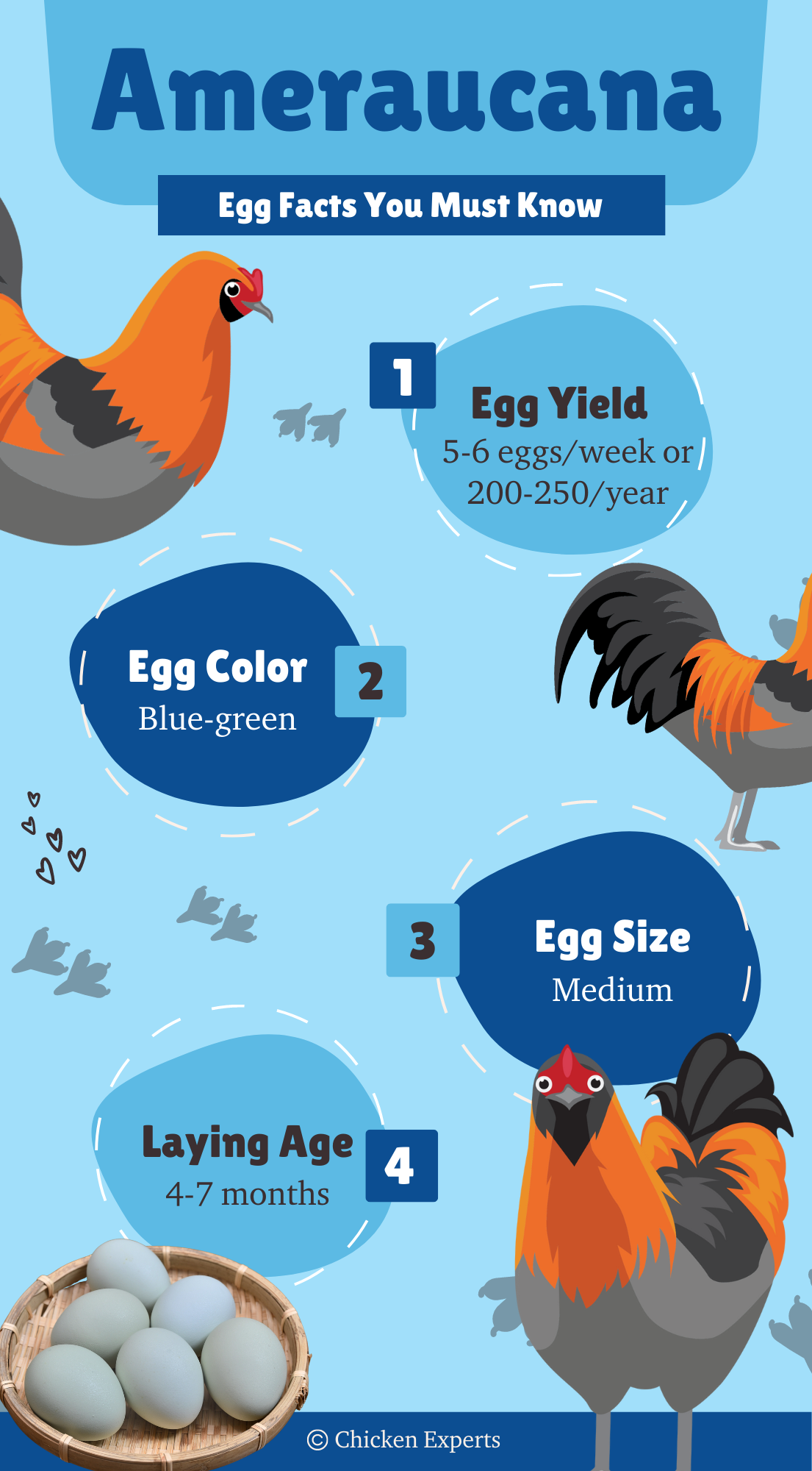 ameraucana egg color chart