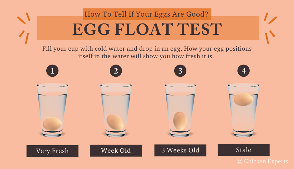 how to tell if eggs are good through float test