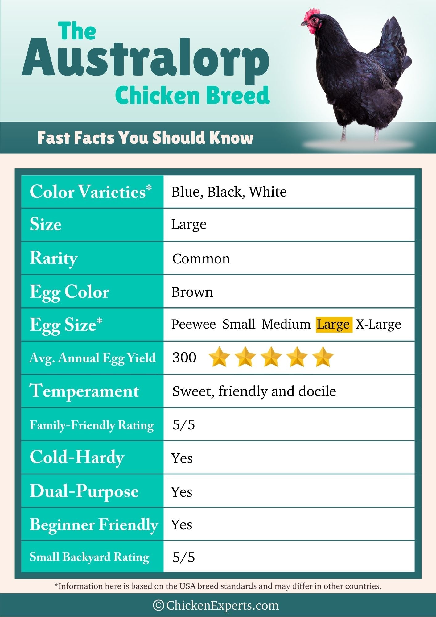 australorp chicken fast facts