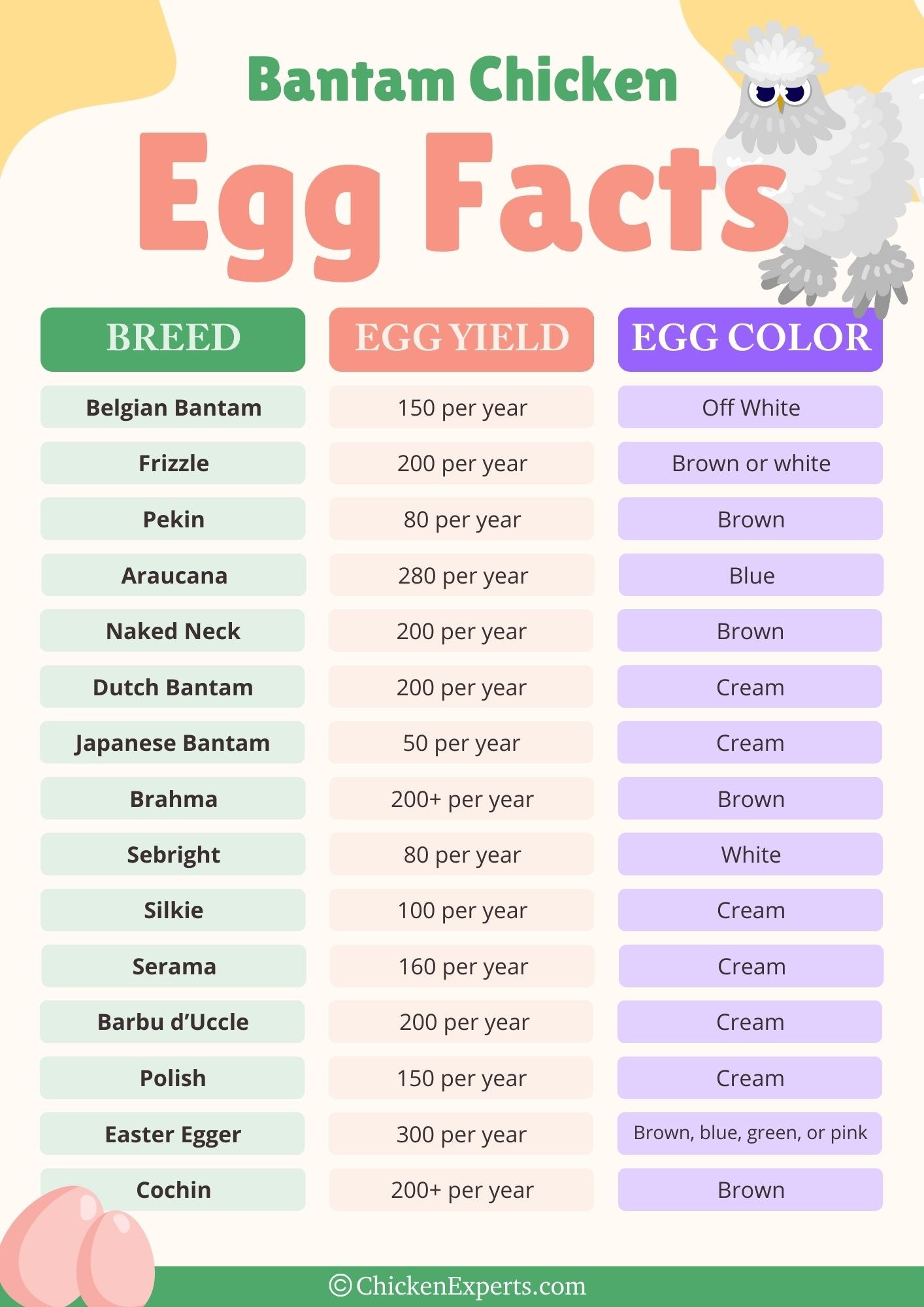 bantam chicken egg facts