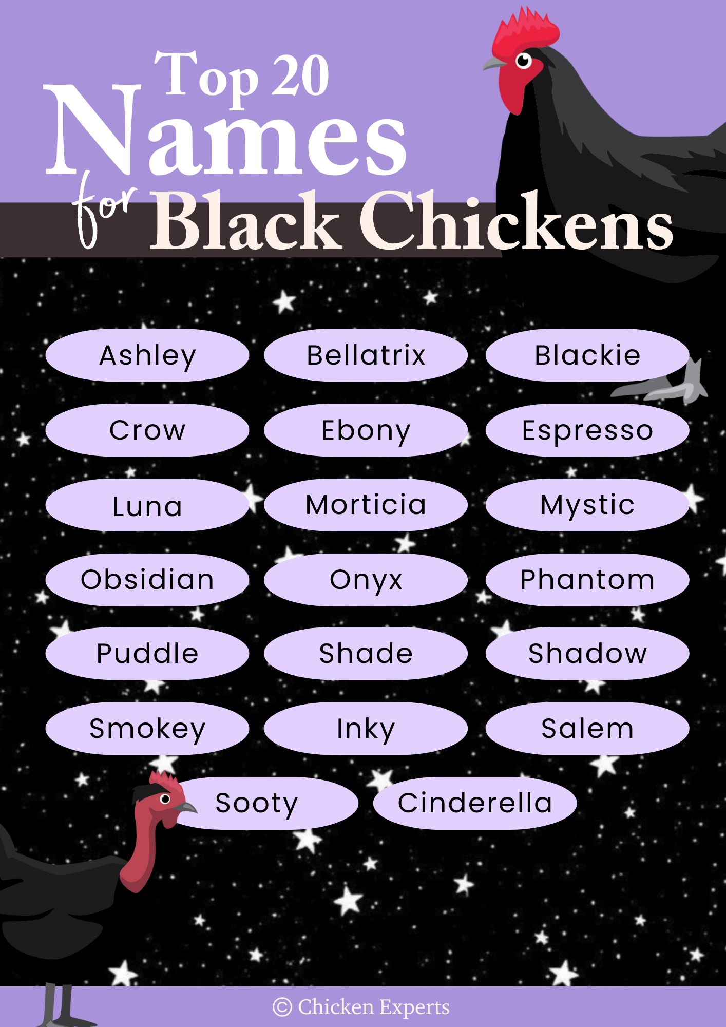 chicken names for black chickens