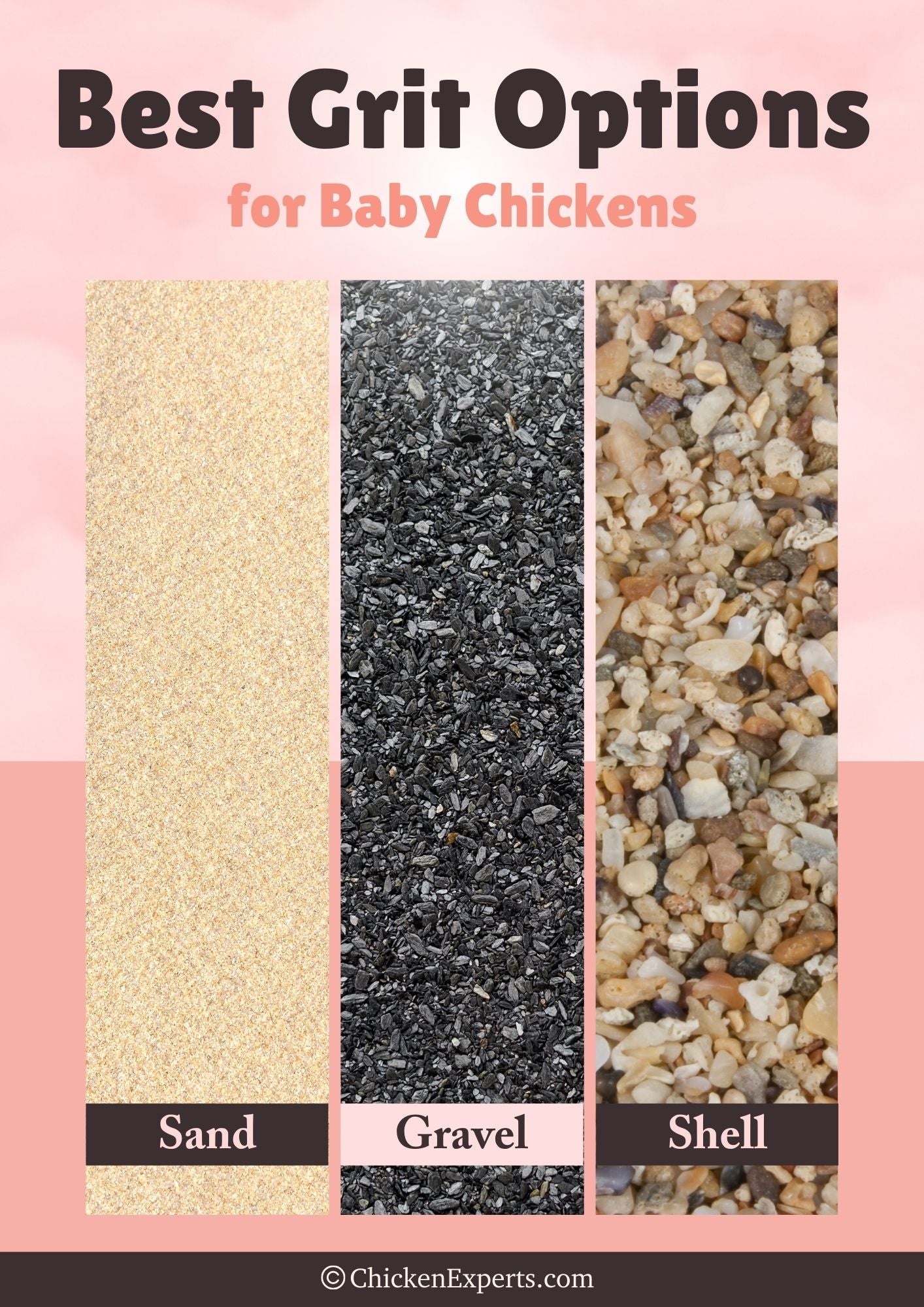 best grit options for baby chickens