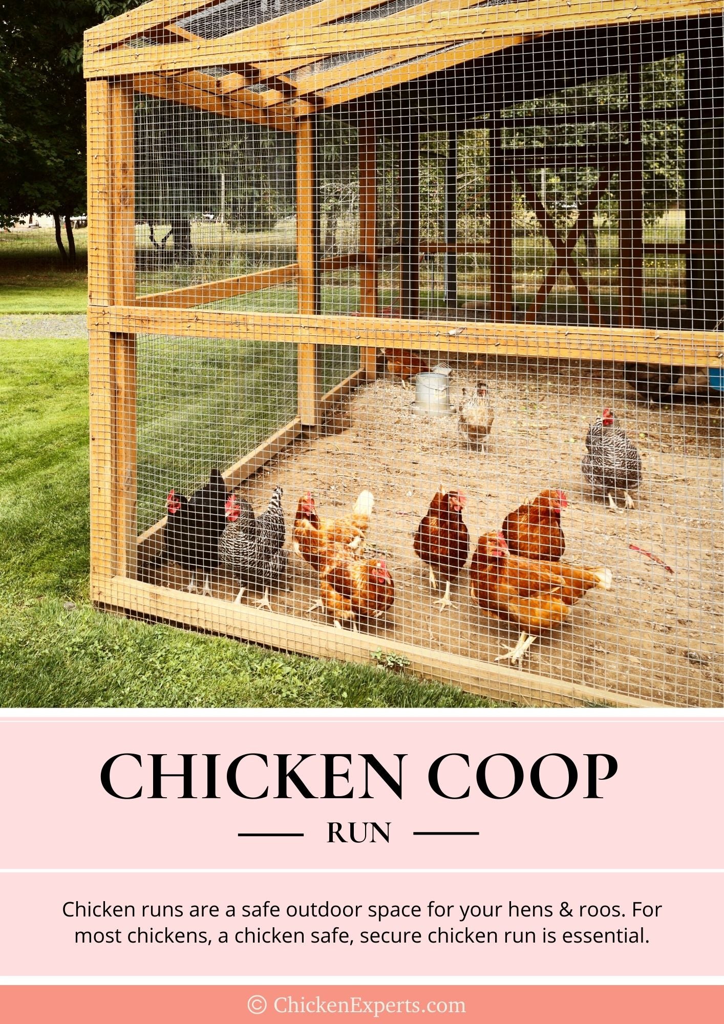 chicken coop run