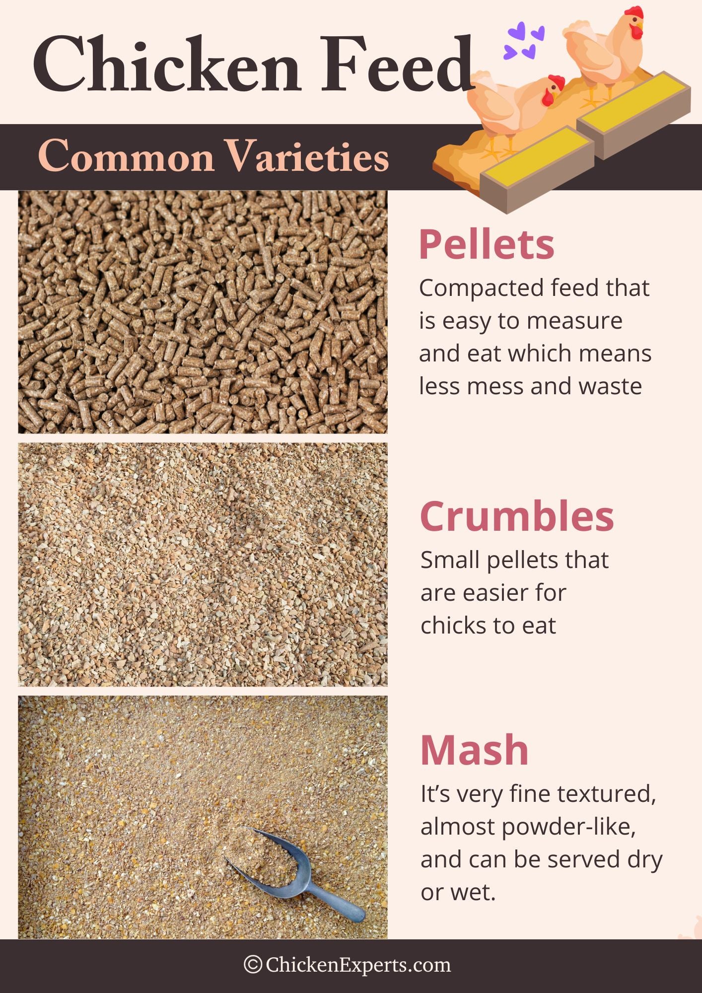 common varieties of chicken feed