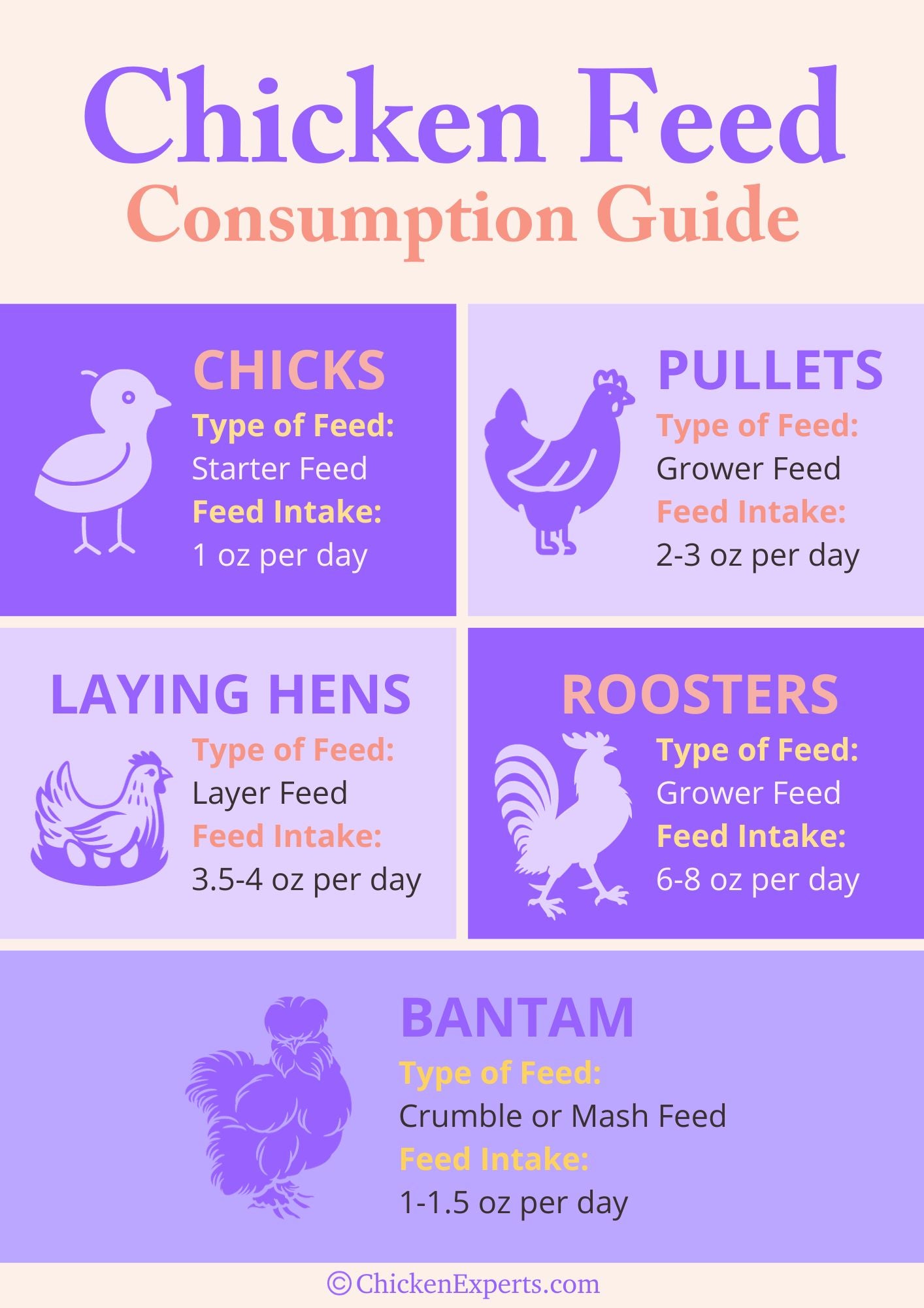 chicken feed consumption guide