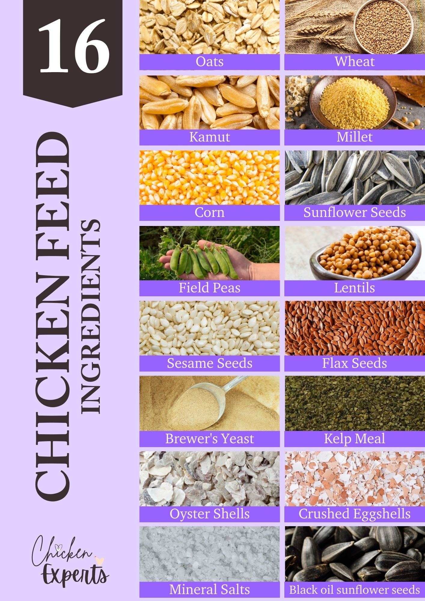 chicken feed ingredients