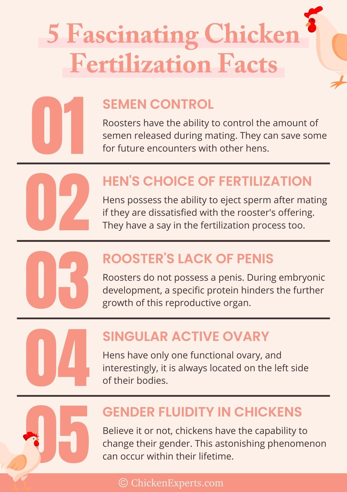 chicken fertilization facts