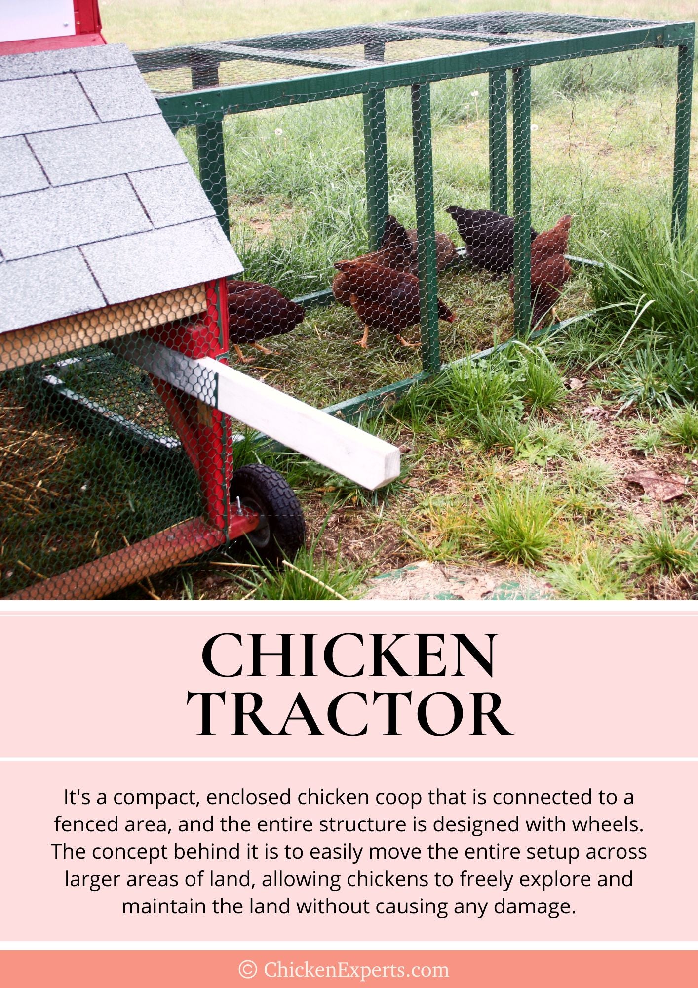 chicken tractor