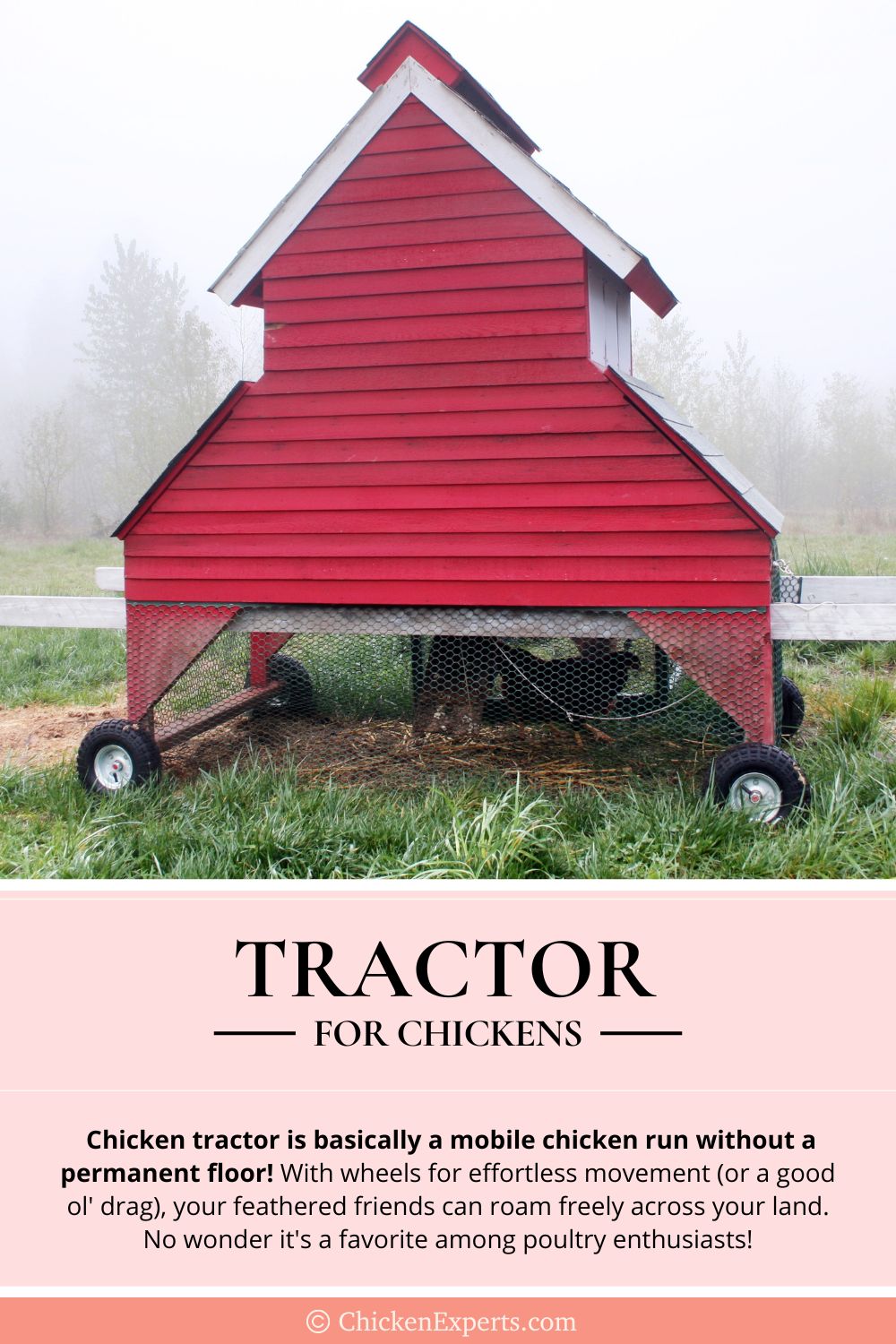 chicken tractor