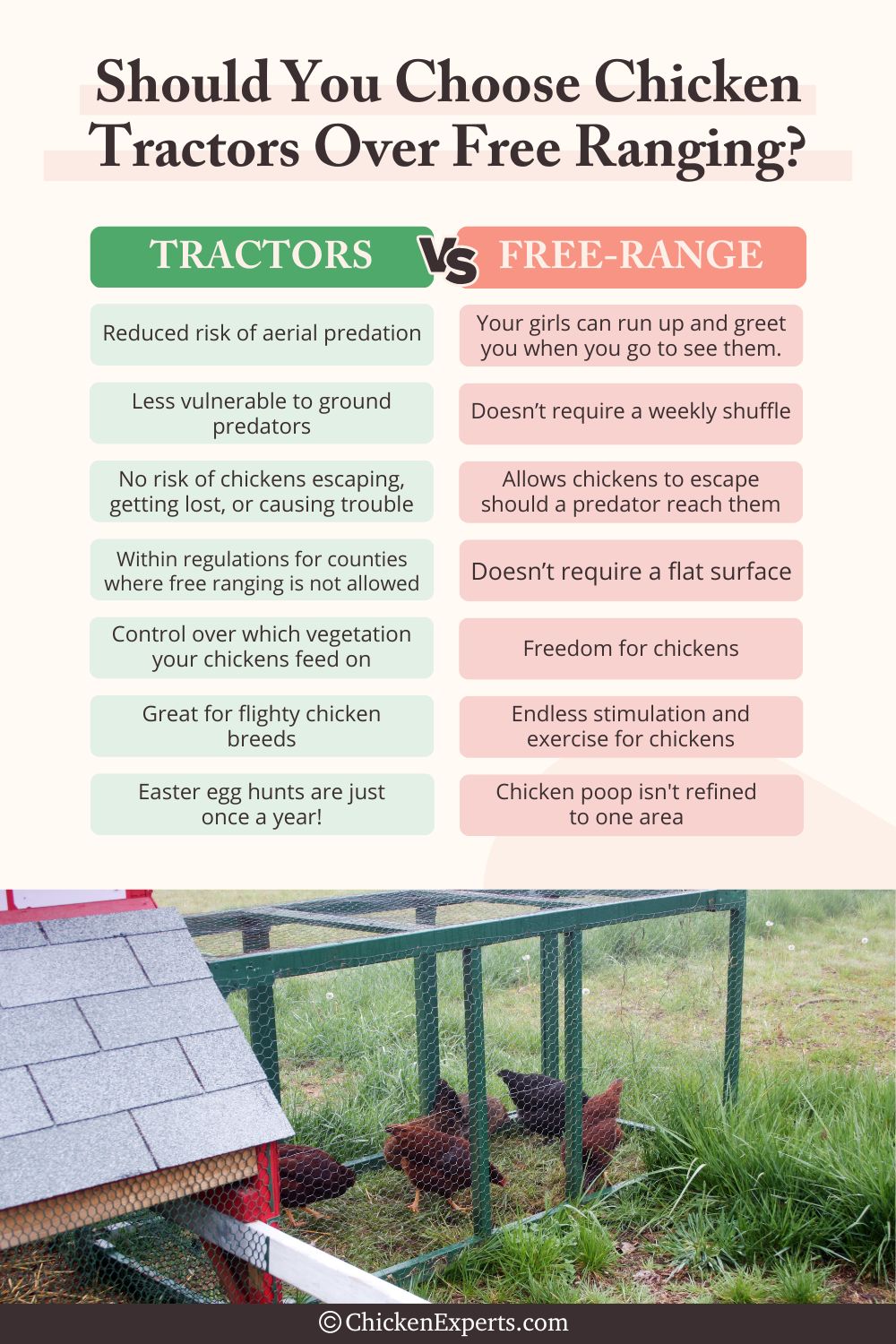 chicken tractors versus free ranging