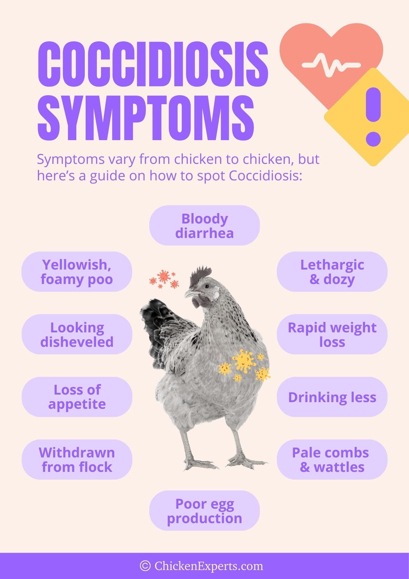 coccidiosis symptoms