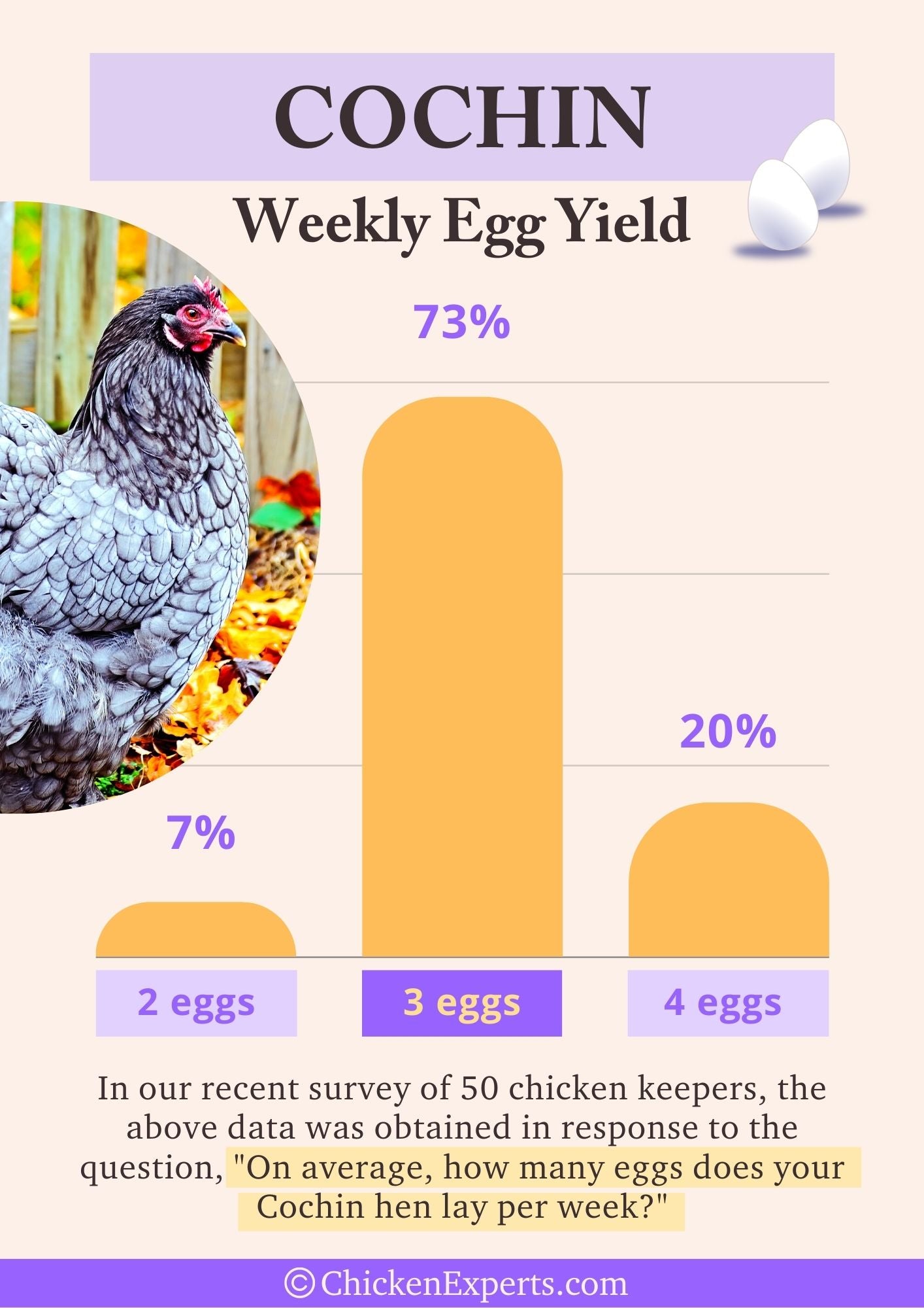 cochin chicken weekly egg yield