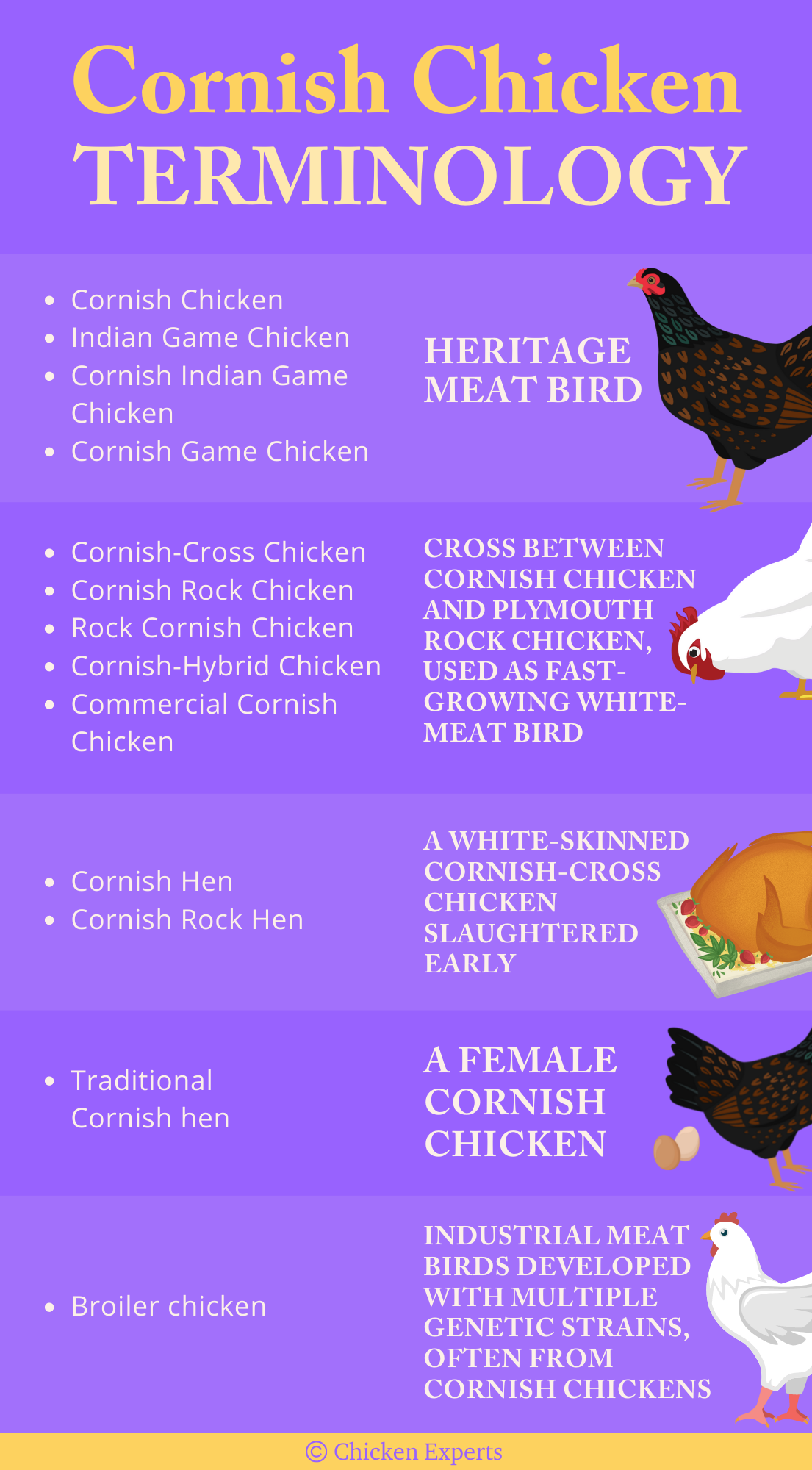 cornish chicken terminology