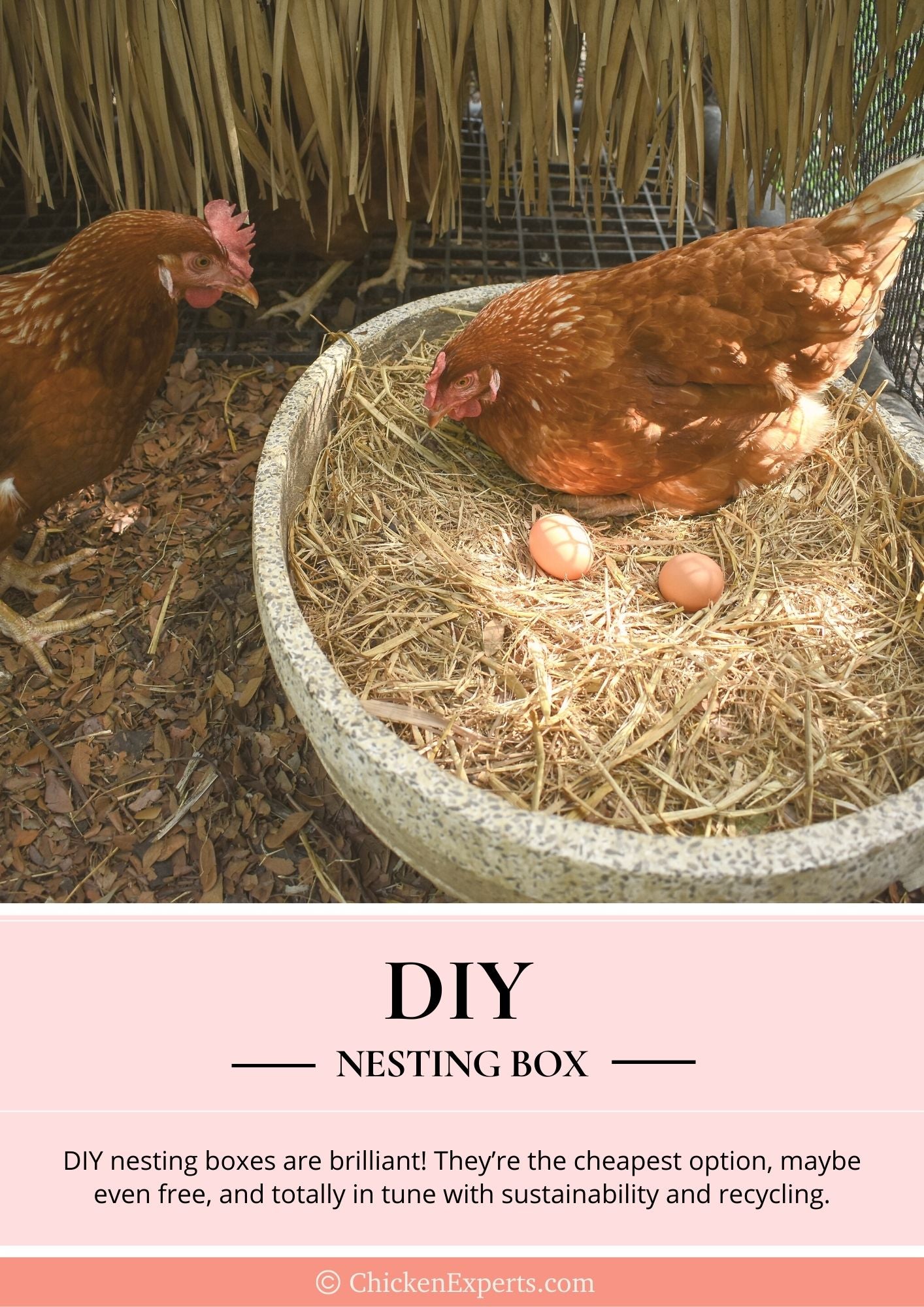 diy nesting box