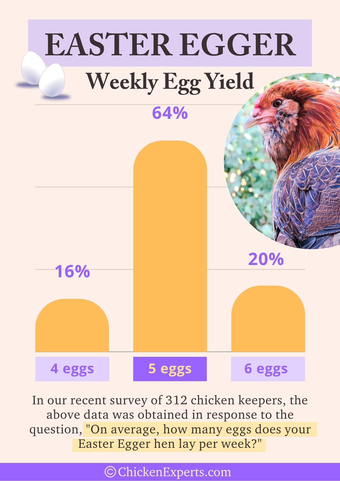 easter egger chicken weekly egg yield