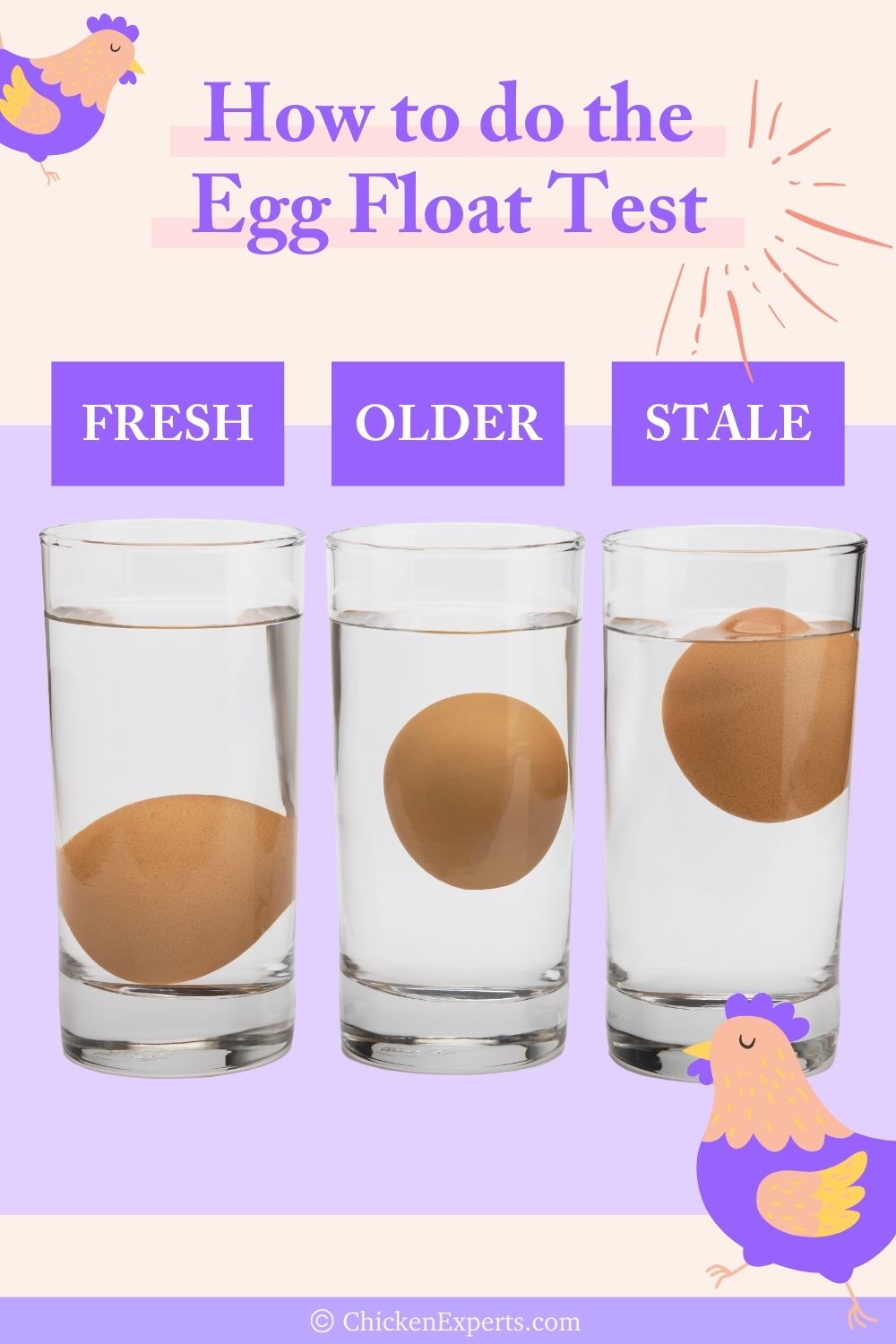 how to do the egg float test