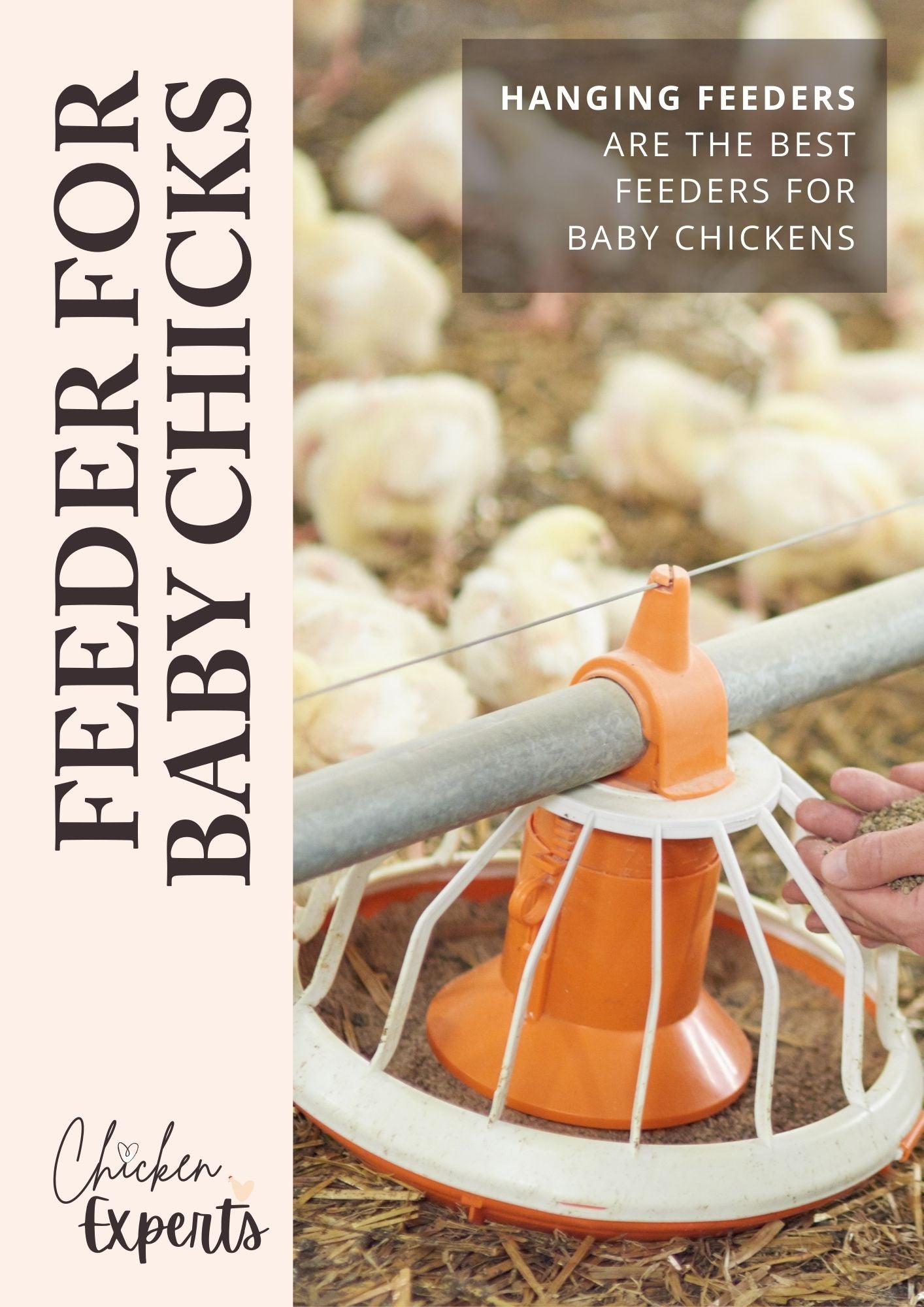 best feeder for baby chickens