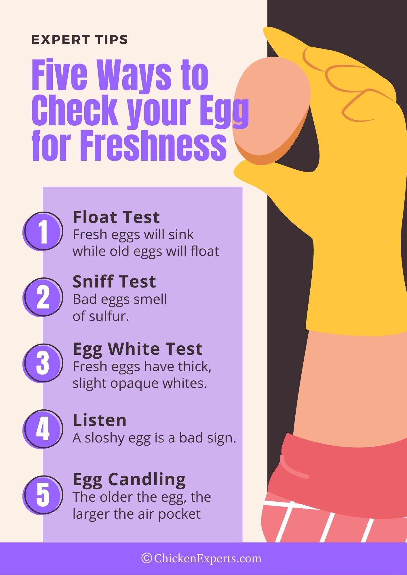 egg freshness test