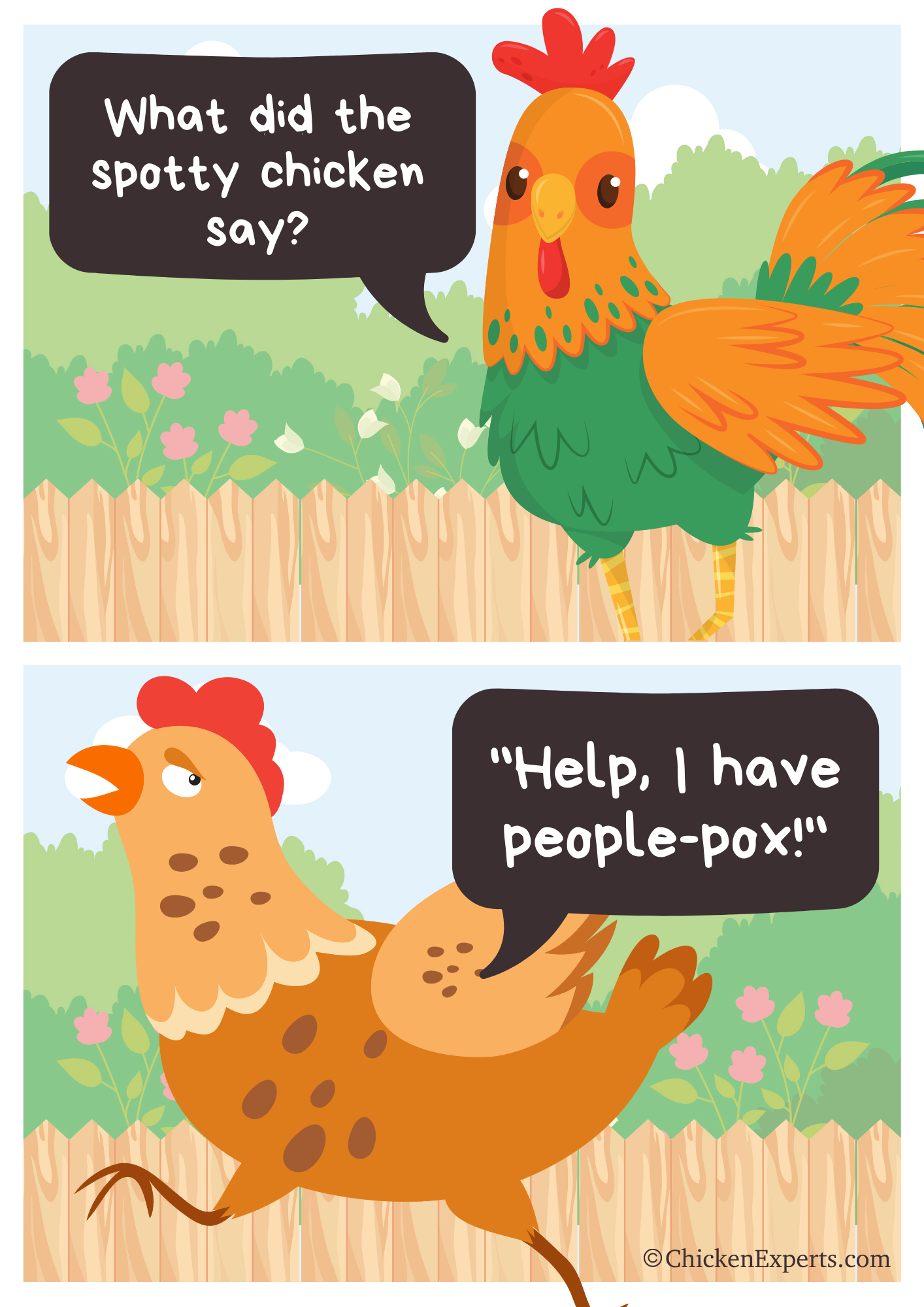 chicken jokes