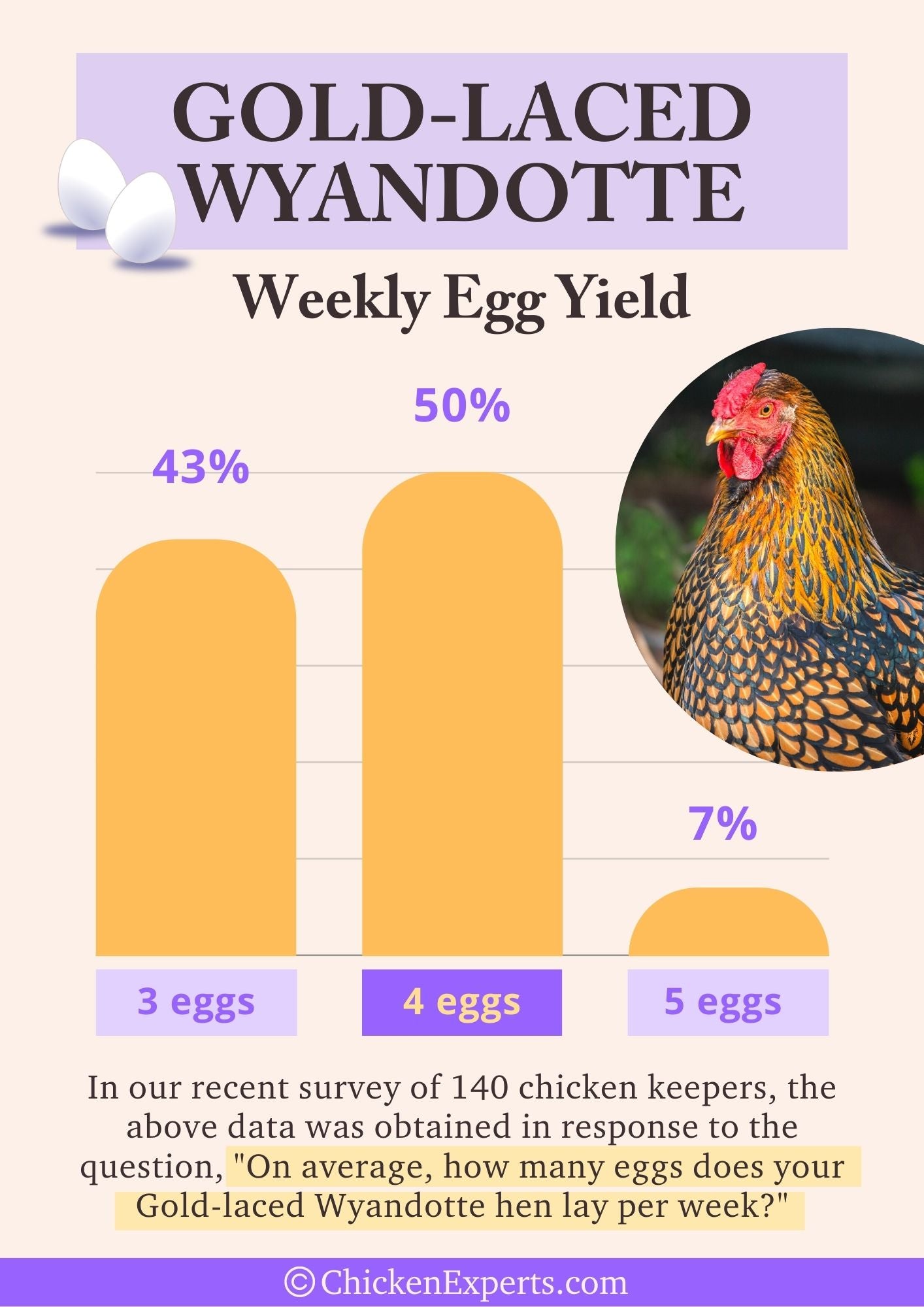 gold laced wyandotte chicken weekly egg yield
