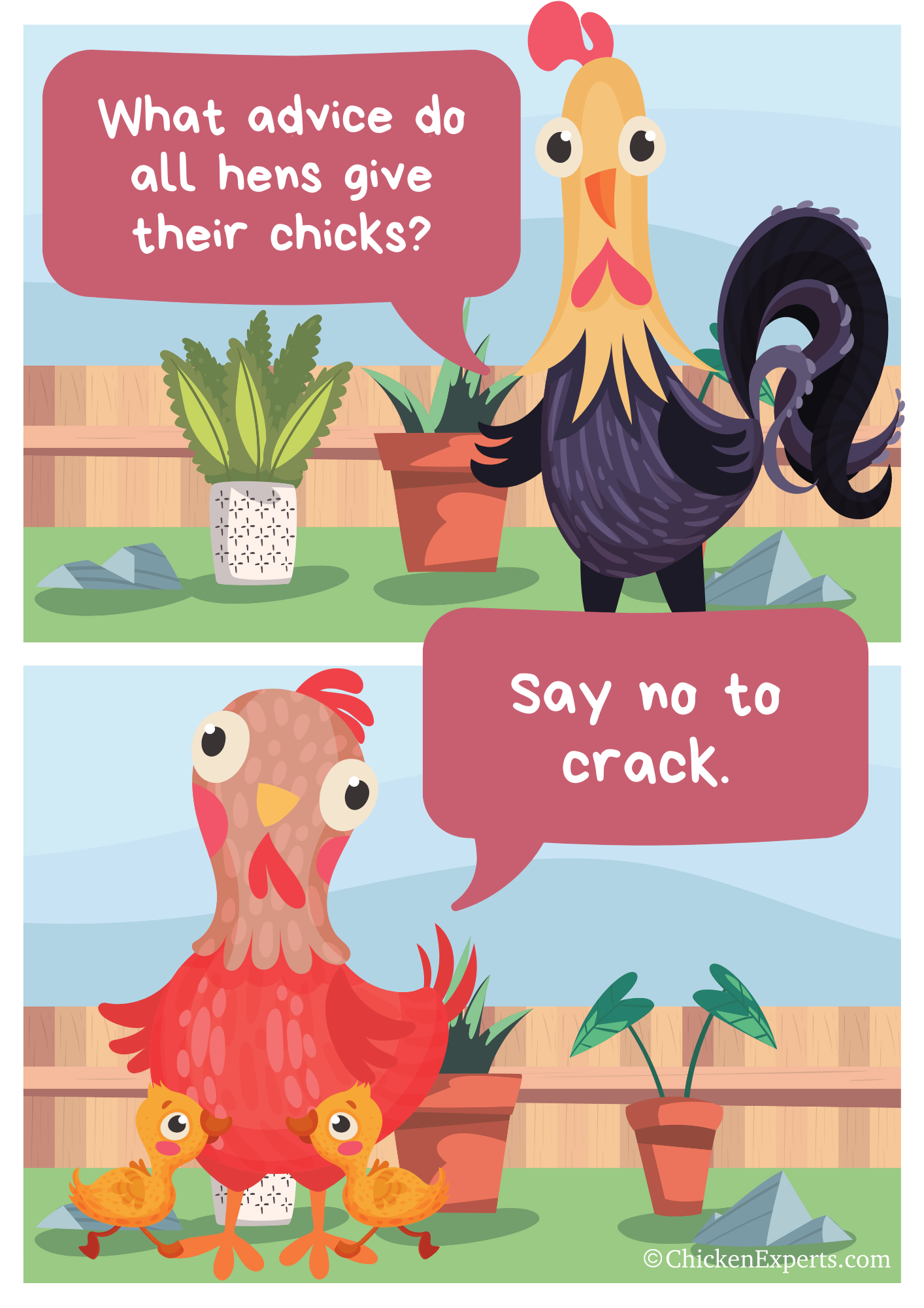 guess what chicken jokes