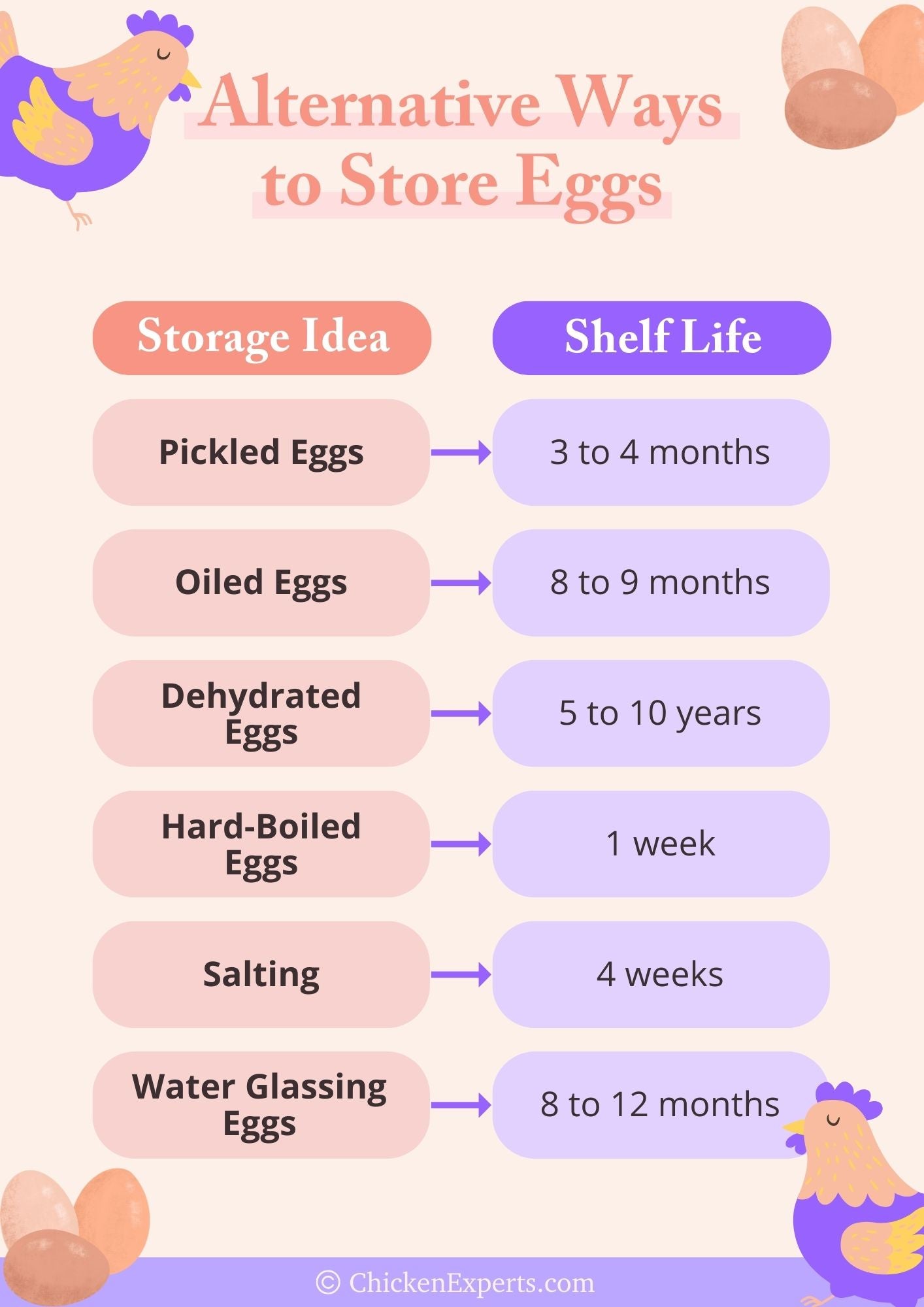 alternative ways to store eggs