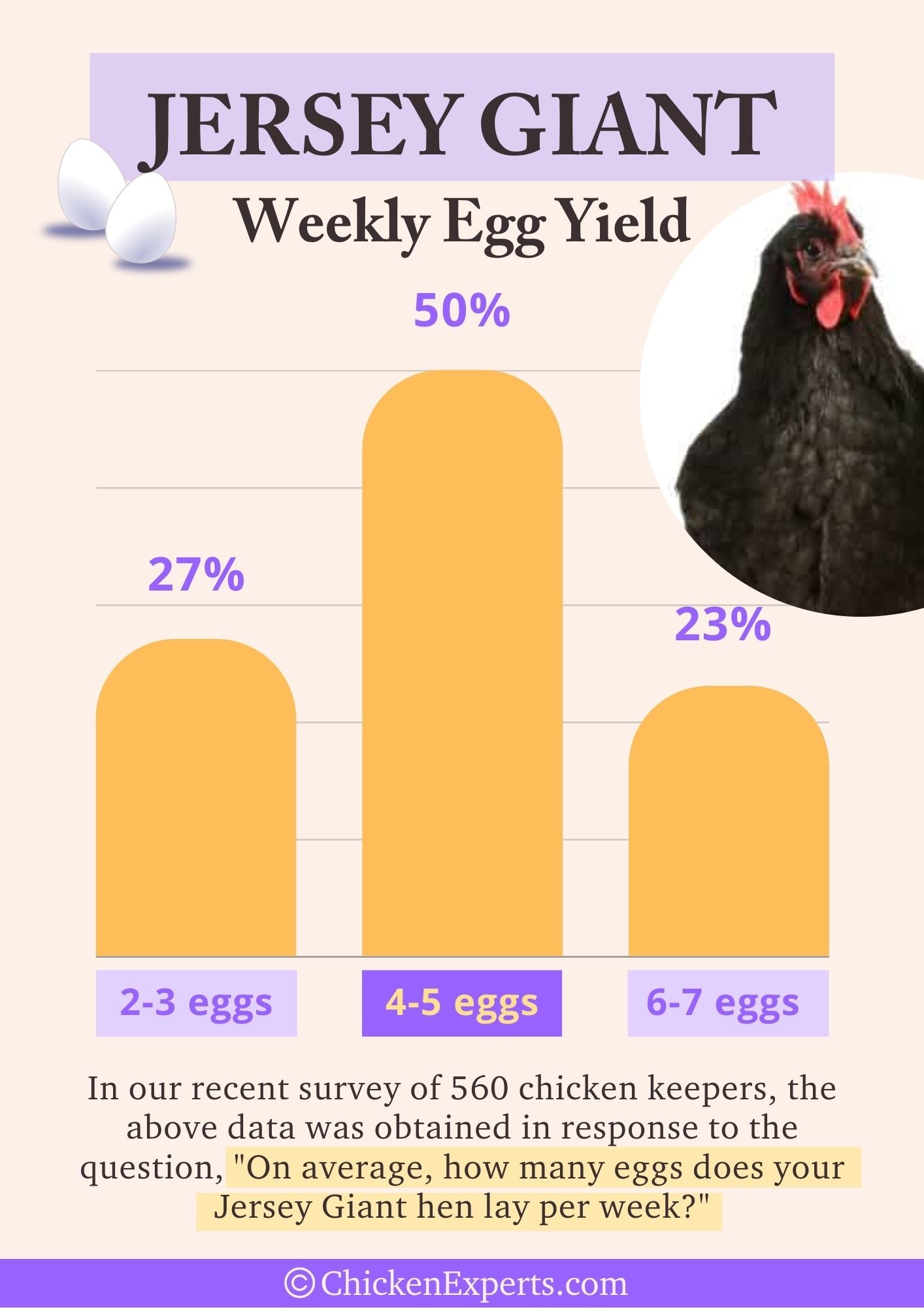 jersey giant weekly egg yield