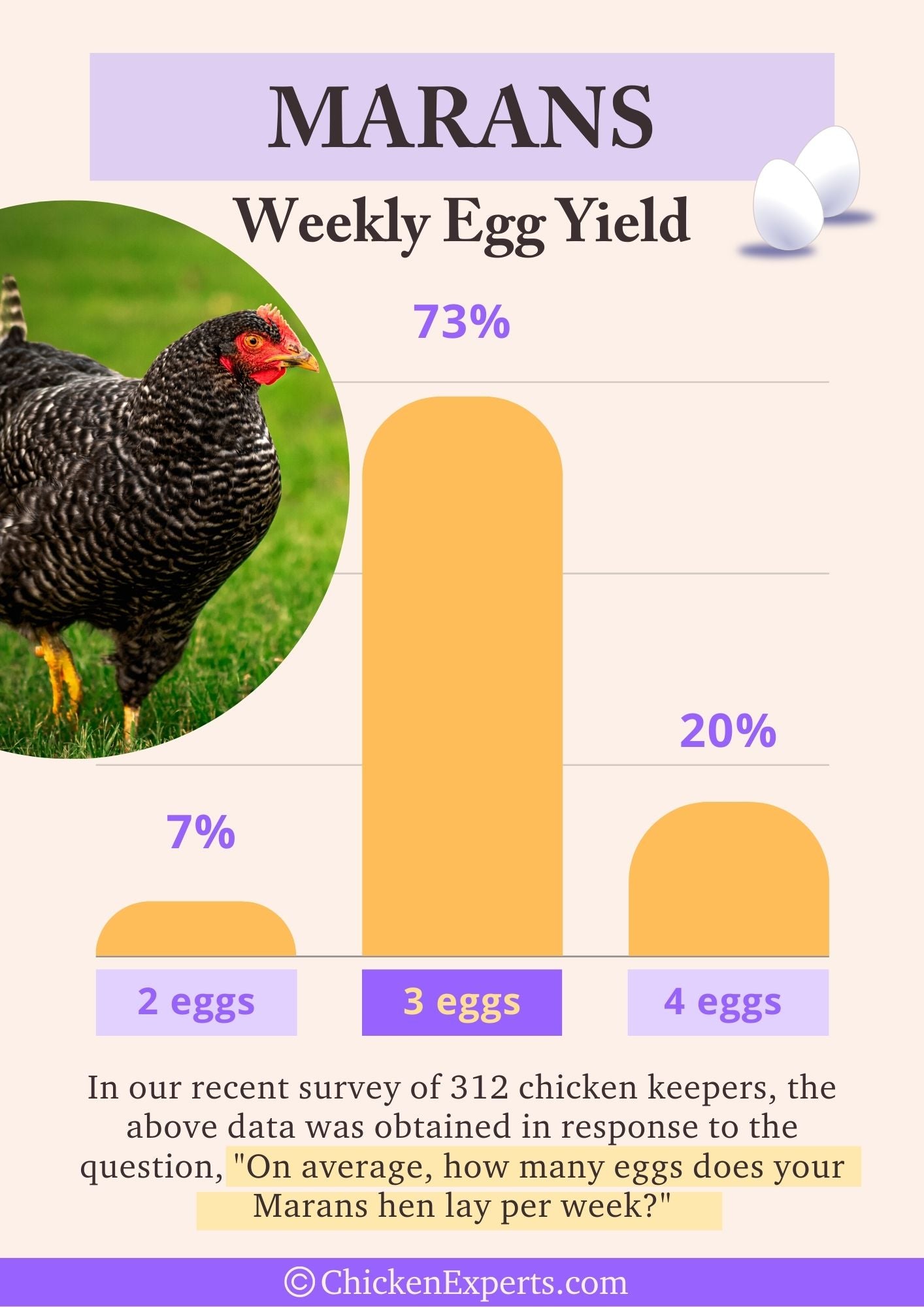marans weekly egg yield