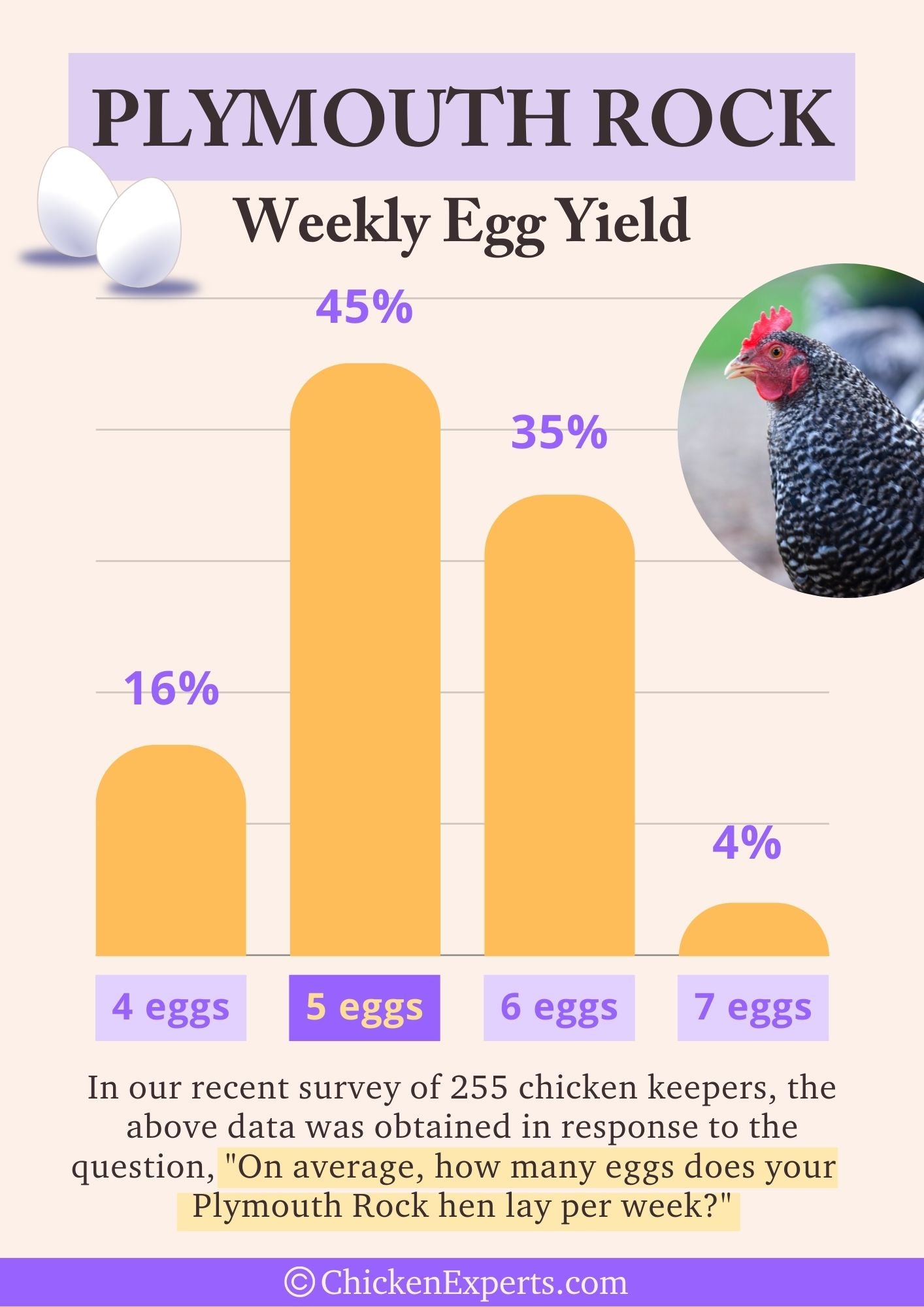 plymouth rock weekly egg yield
