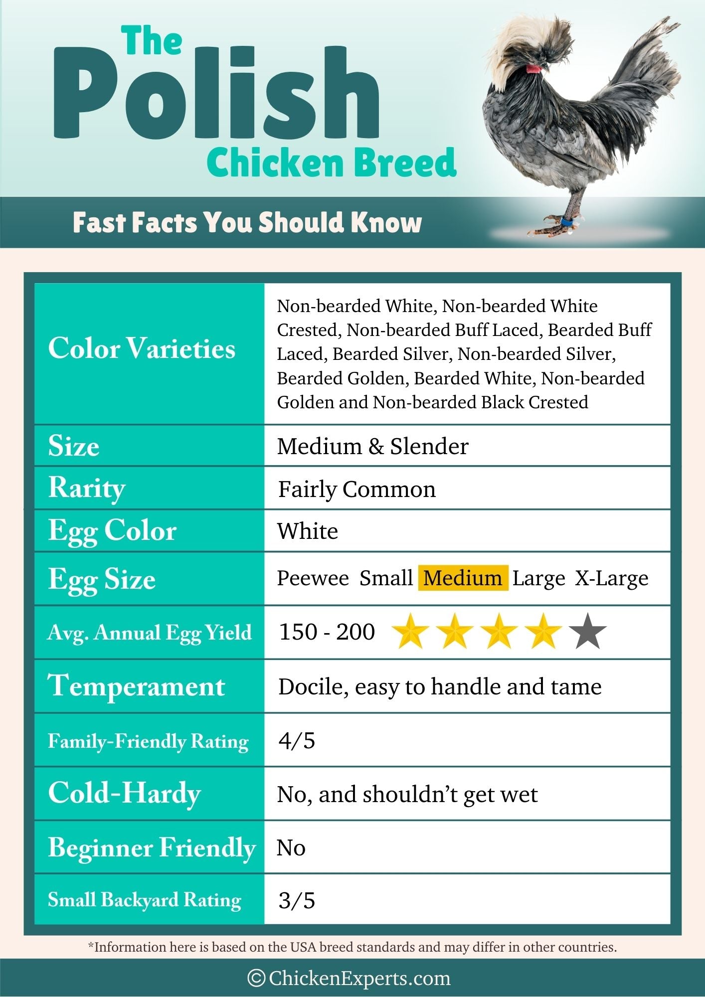 polish chicken breed fast facts