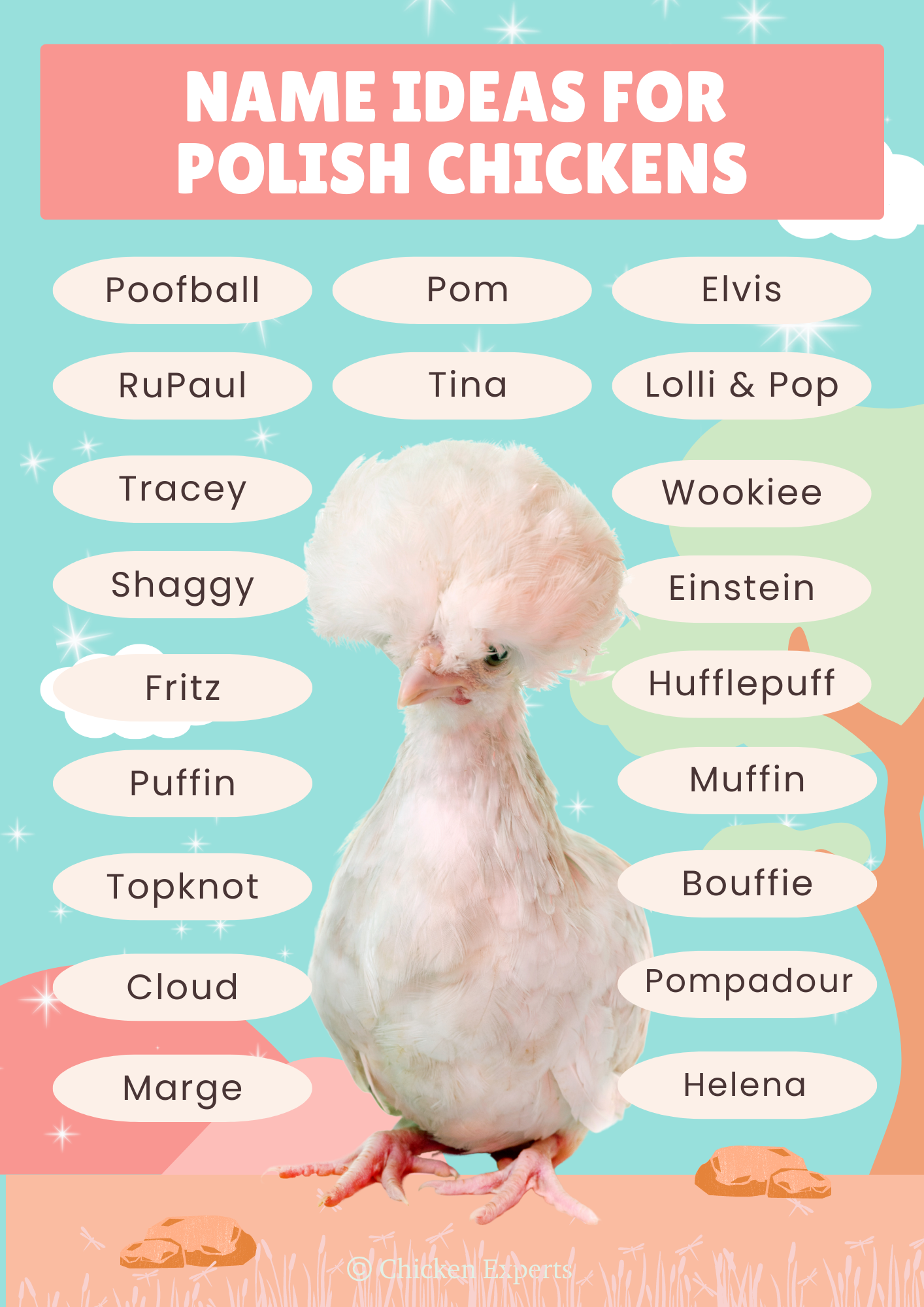 polish chicken name ideas