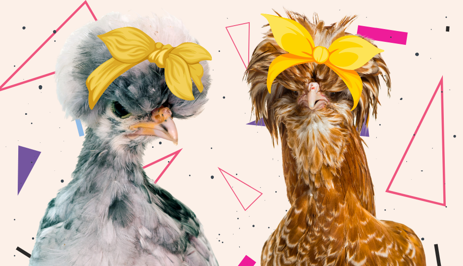 polish chickens with hair tie