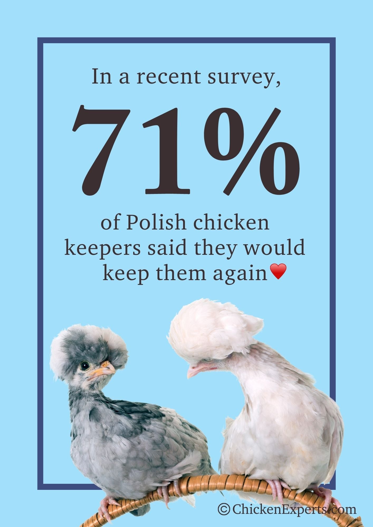 polish keepers said they will keep them again