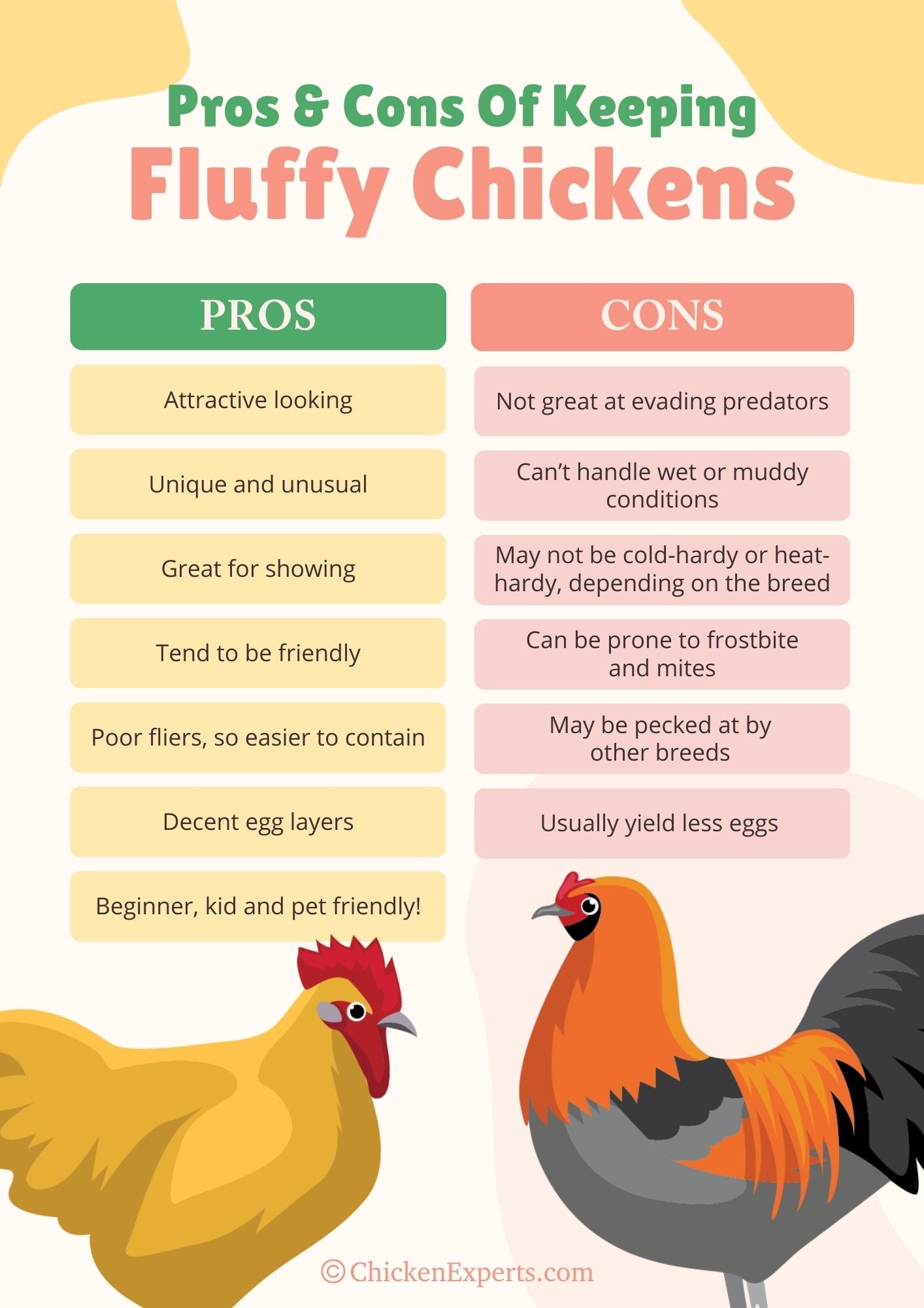 pros and cons of keeping fluffy chickens