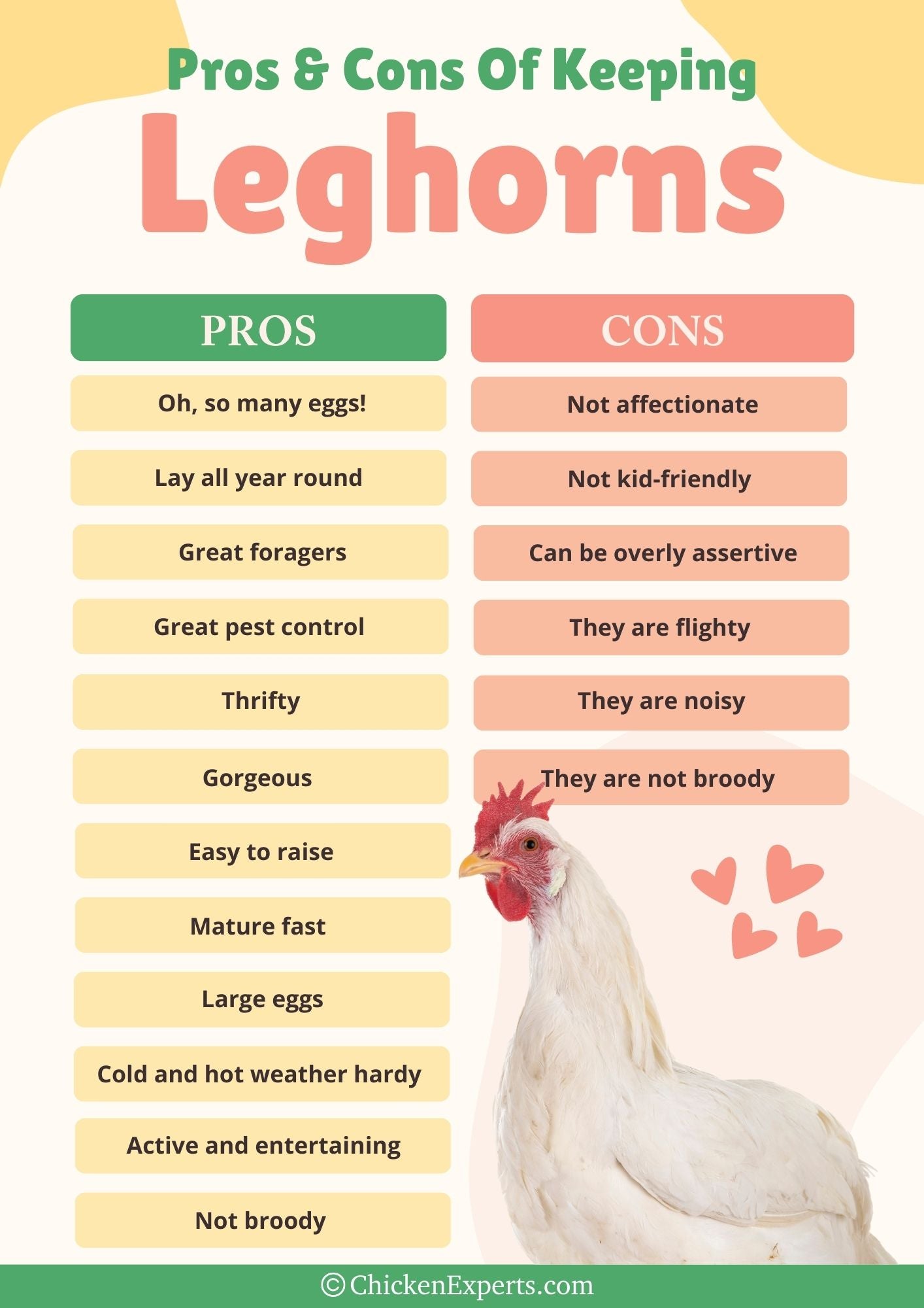 pros and cons for keeping leghorn chickens