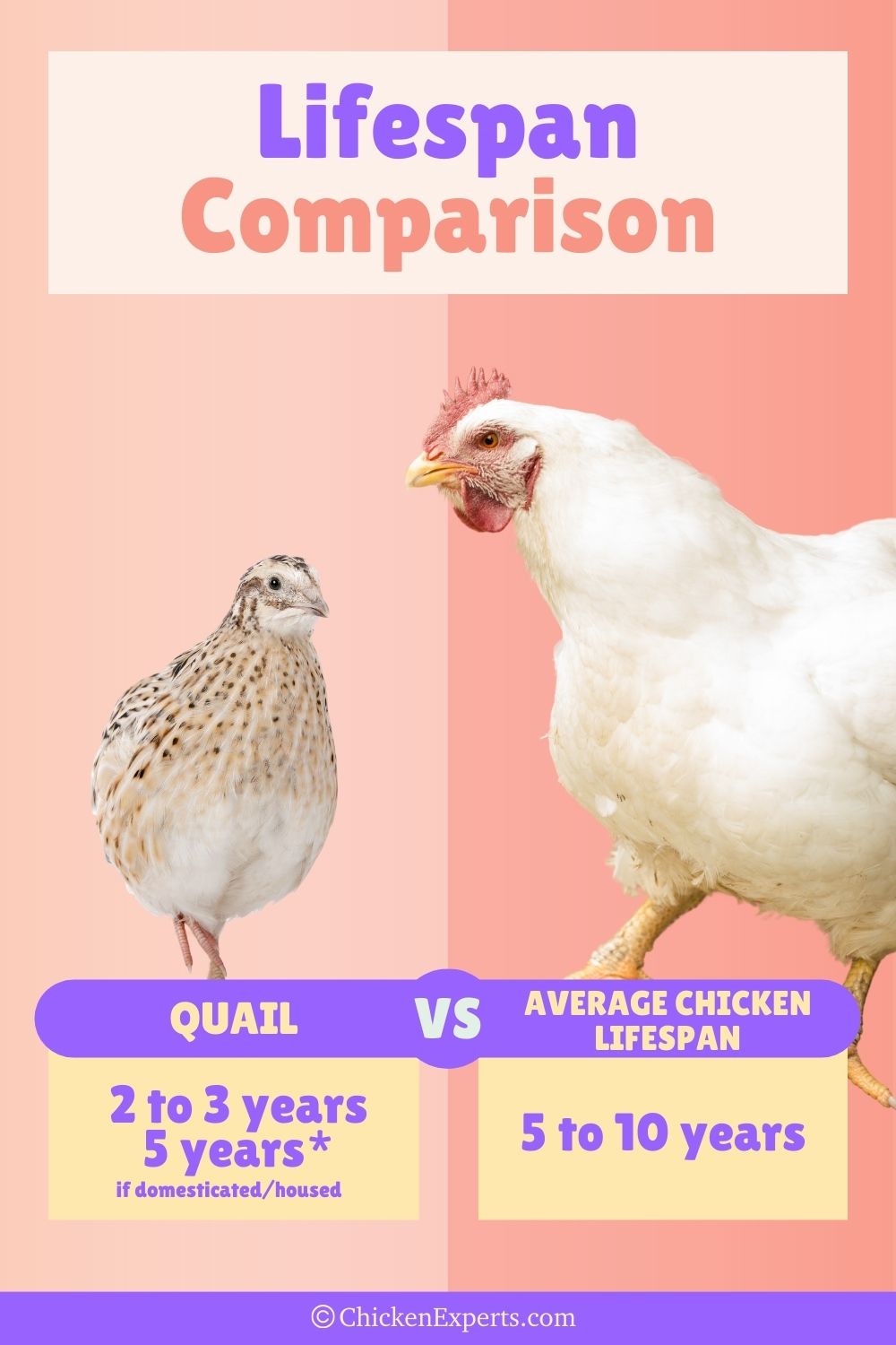 quail average lifespan