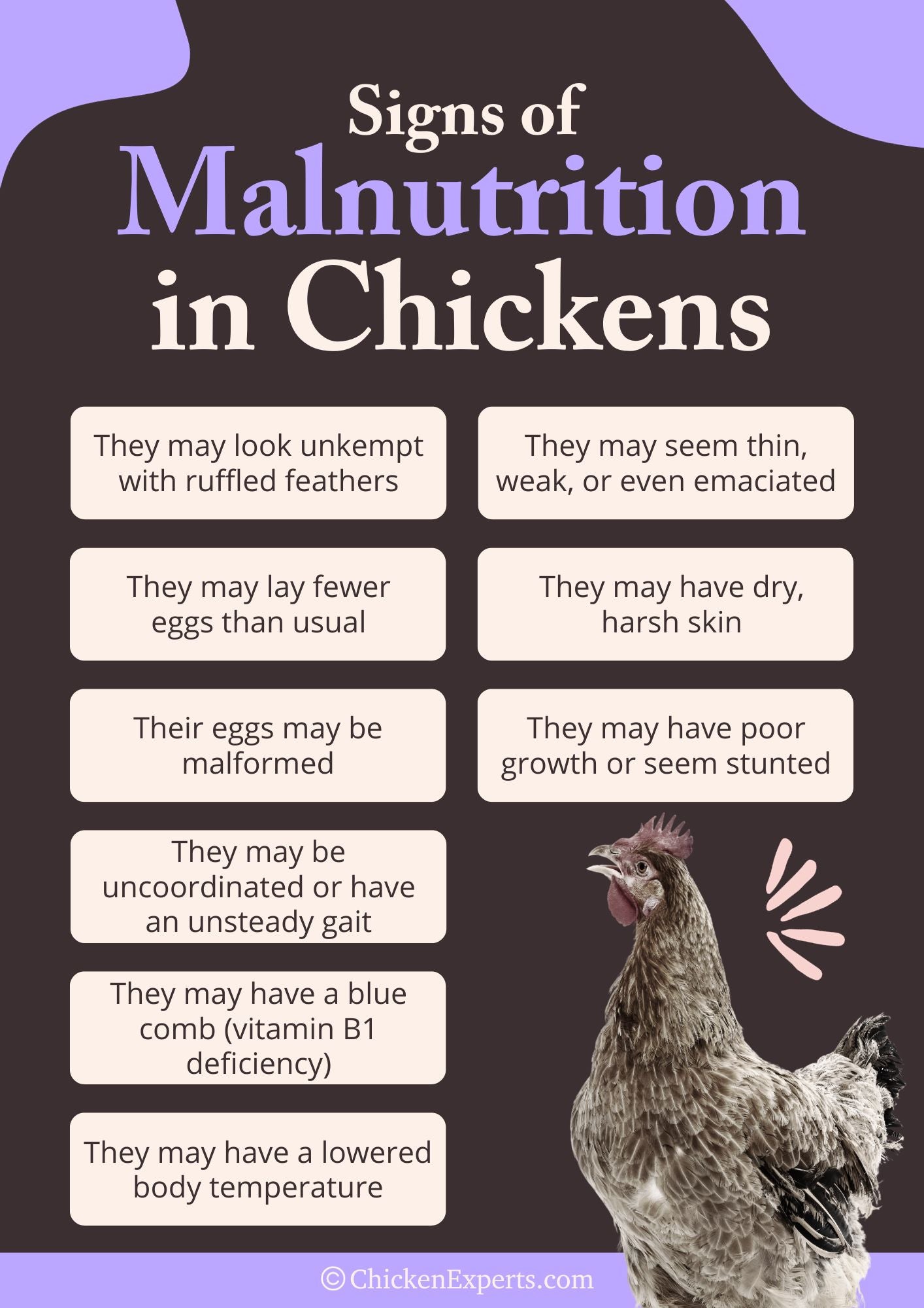 signs of malnutrition in chickens
