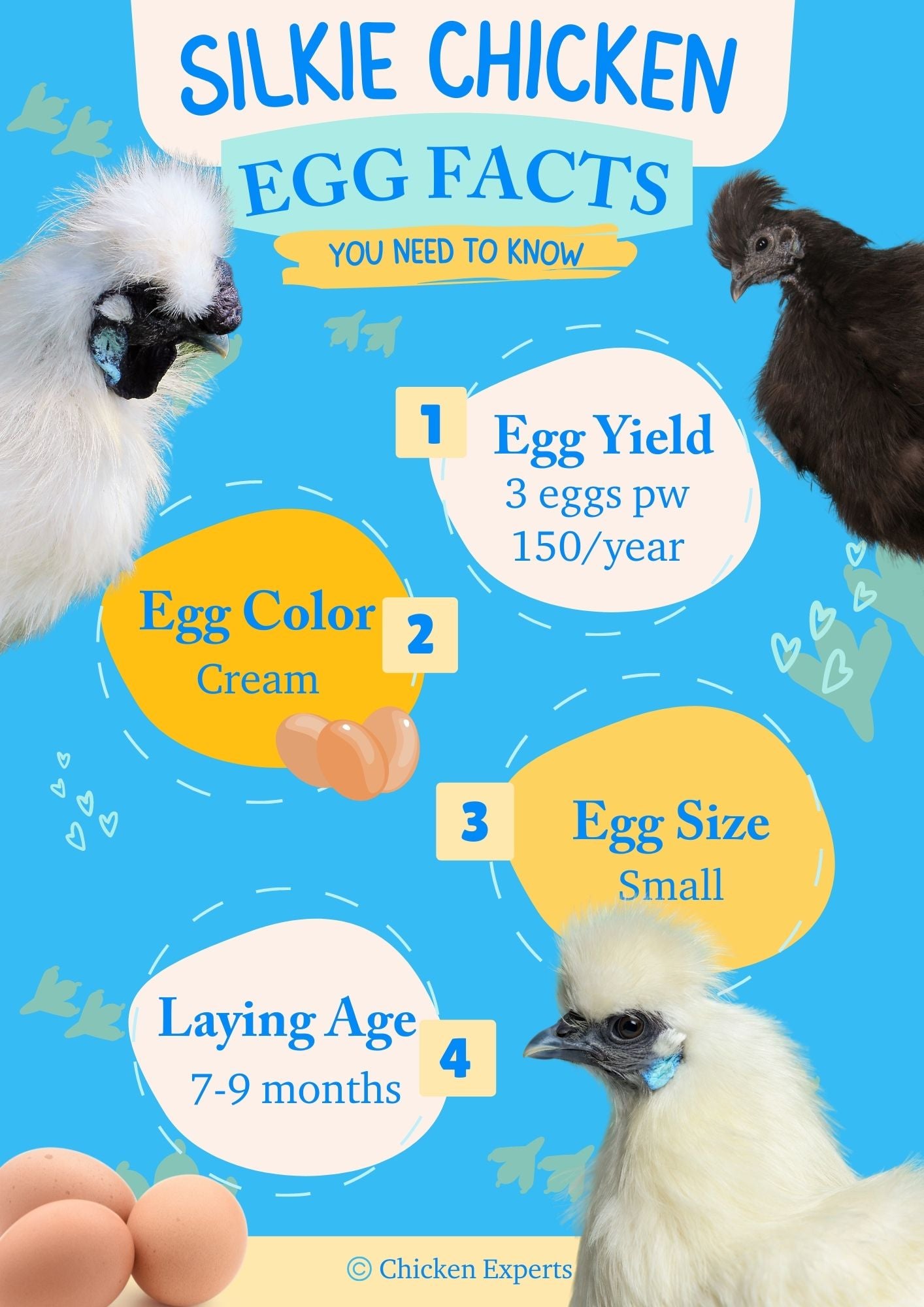 silkie chicken egg size