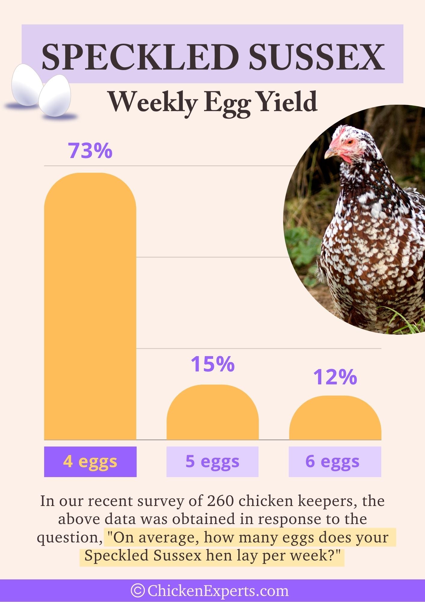 speckled sussex weekly egg yield